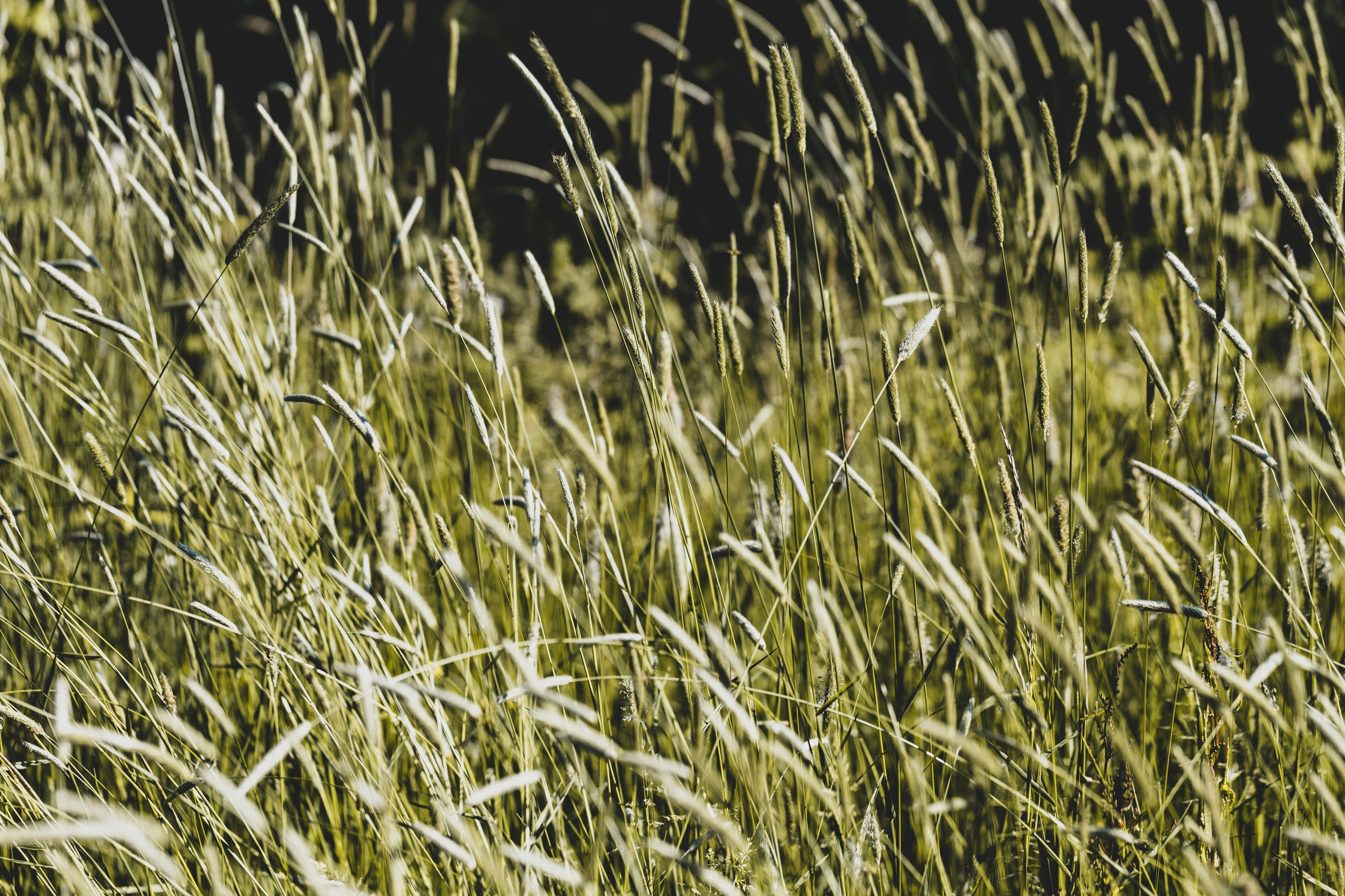 Photo by grievek1610begur