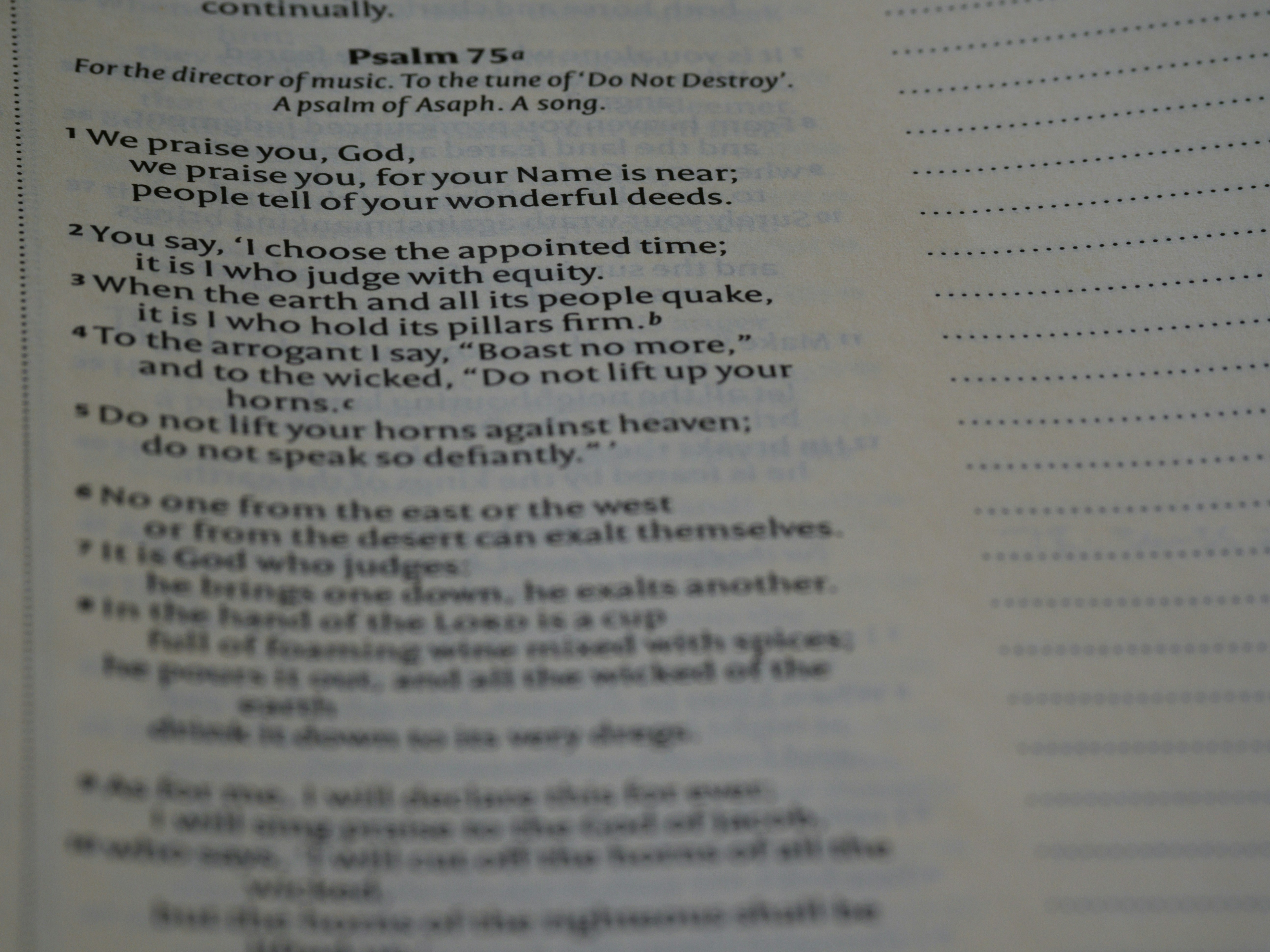 Photo by brett_jordan