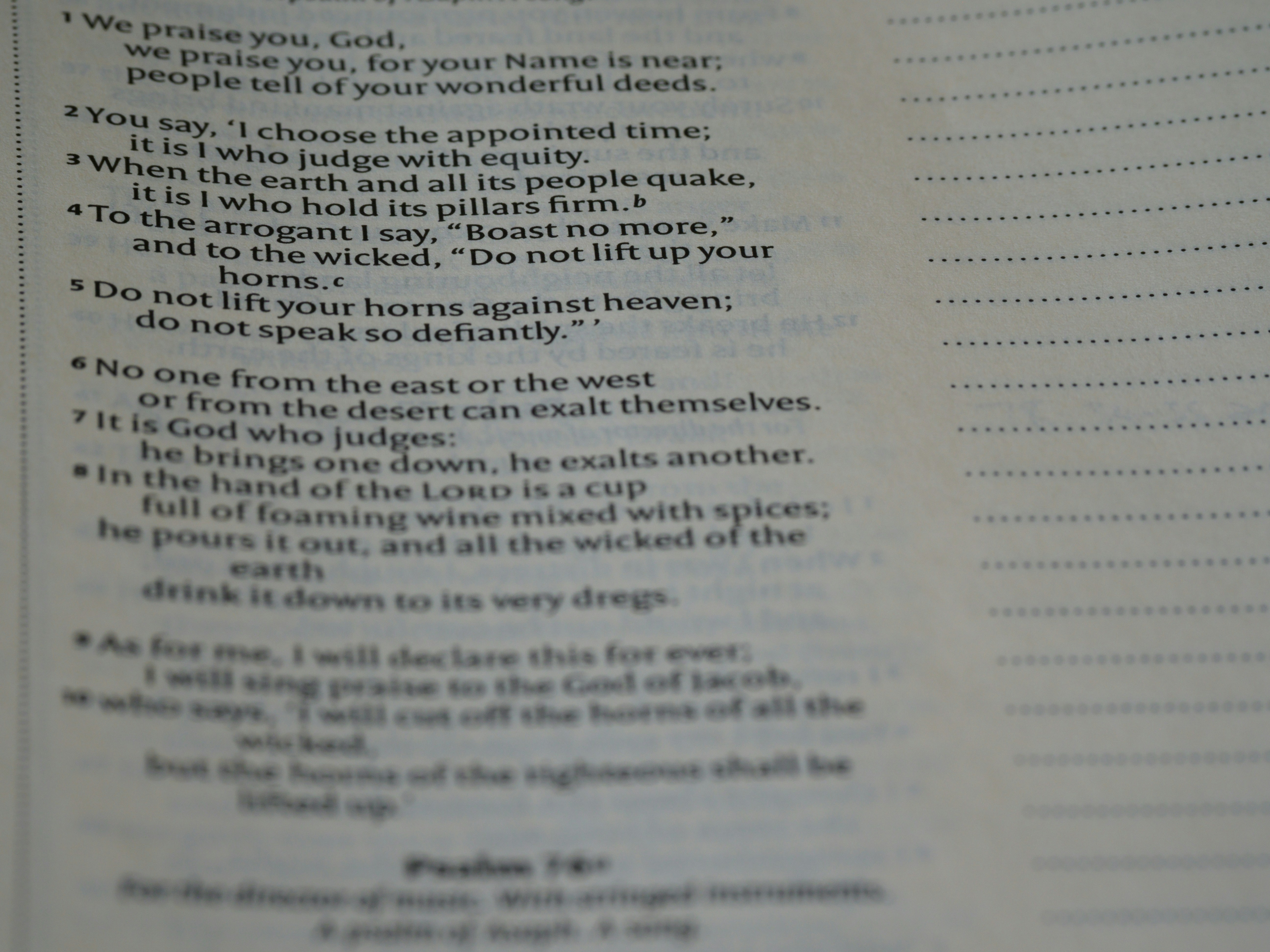 Photo by brett_jordan