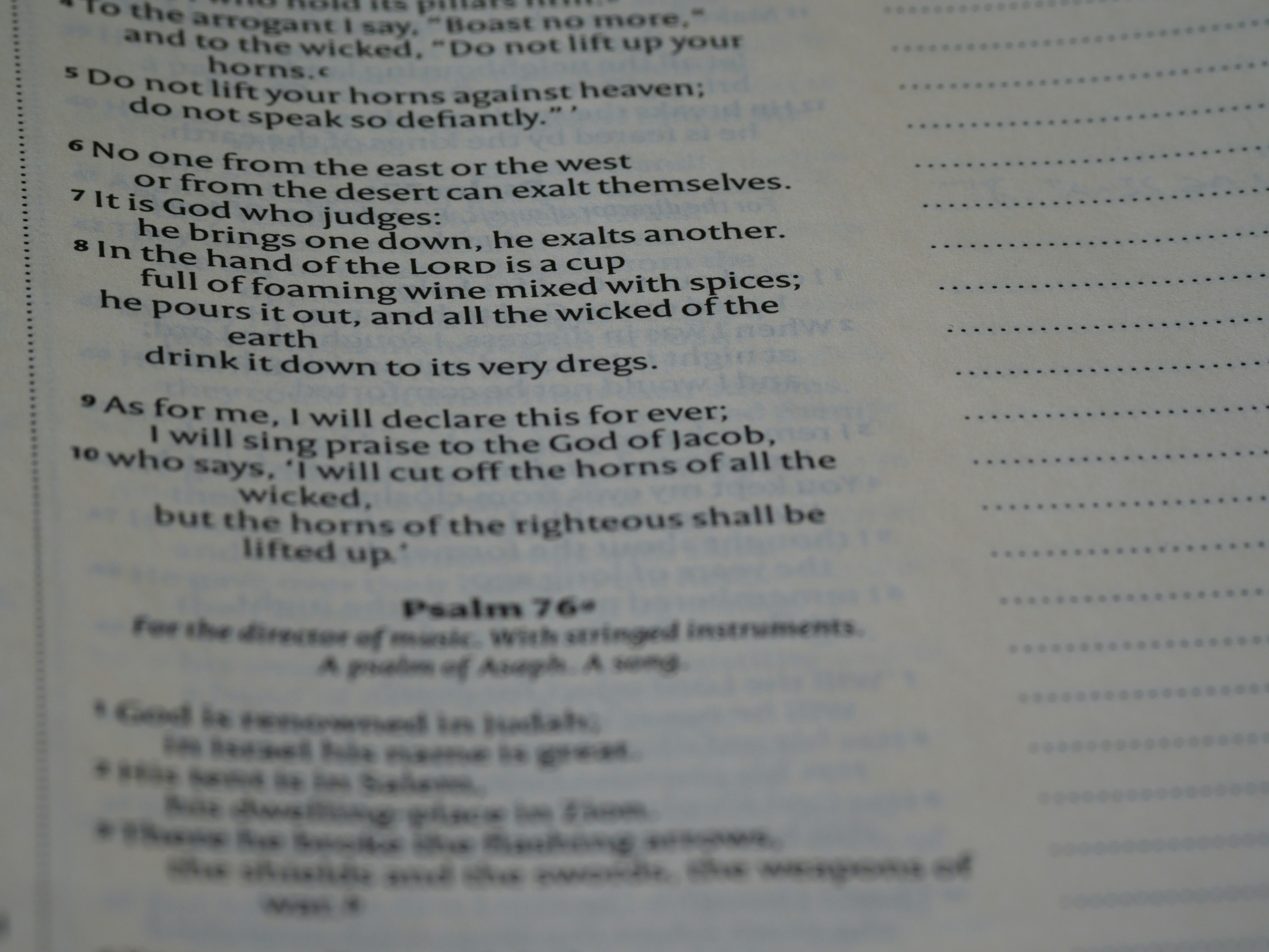 Photo by brett_jordan