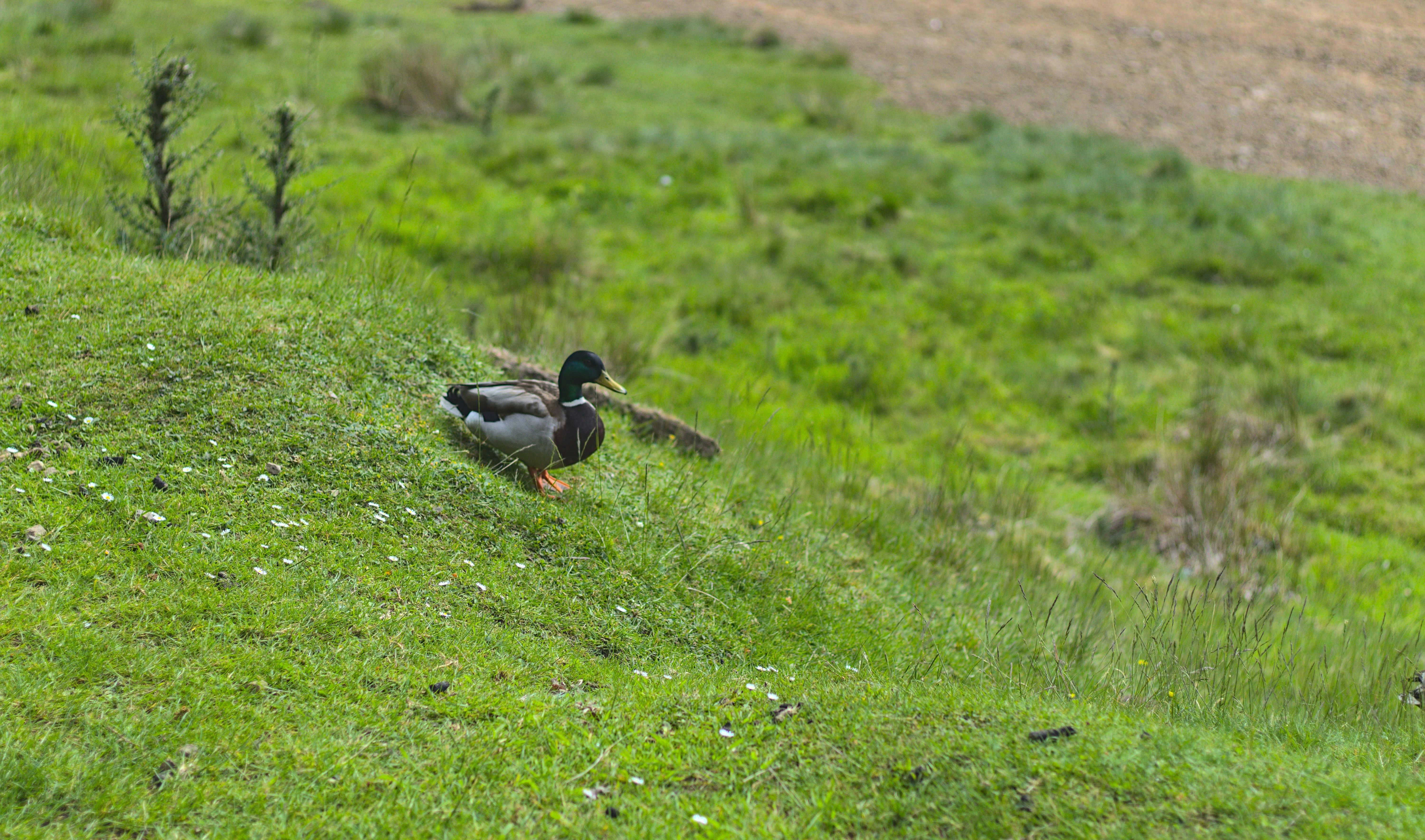 Photo by _asimrehman