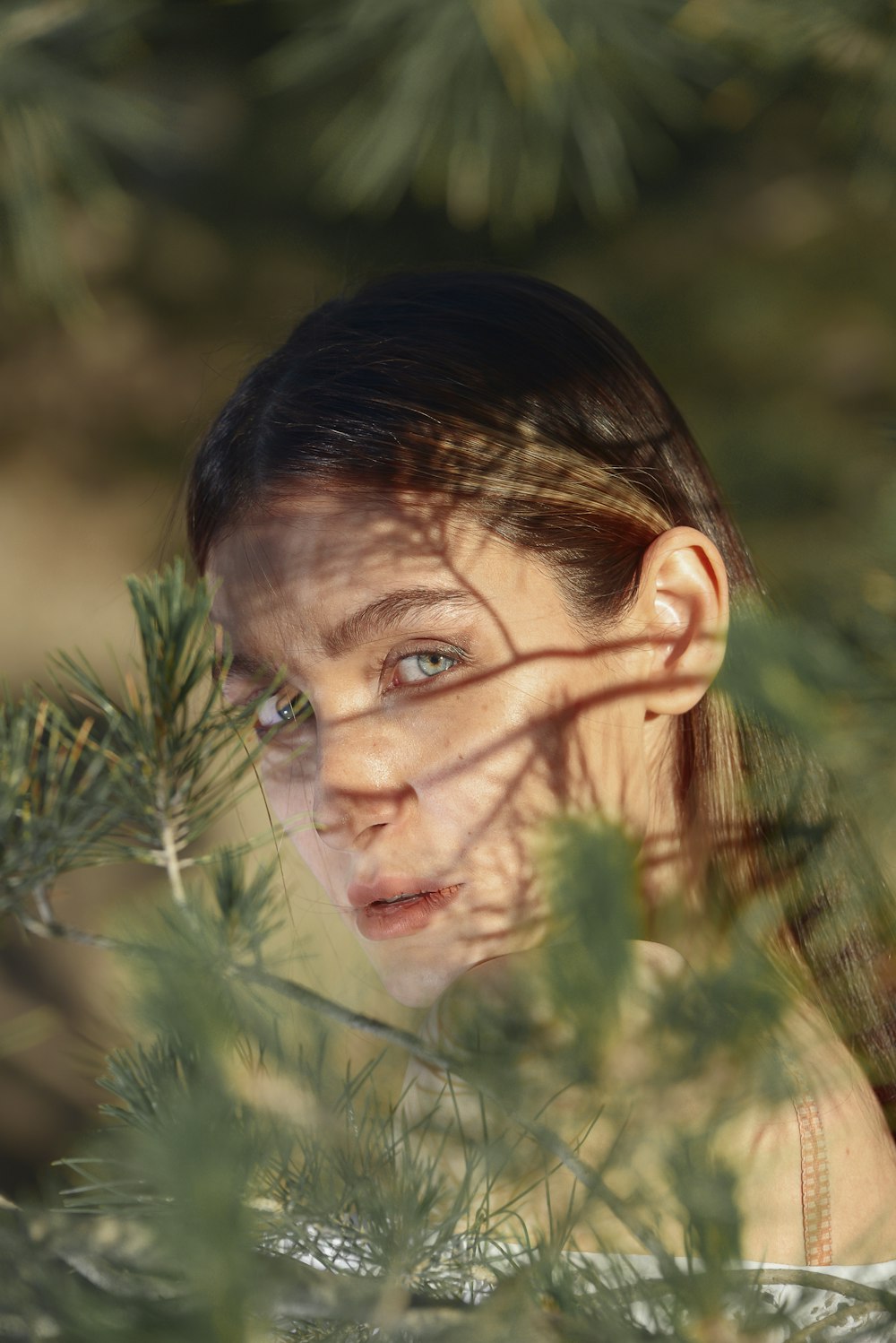 a young woman looking through the branches of a pine tree