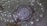 A jeweled watch with a round face surrounded by sparkling rhinestones is displayed amidst a pile of shiny, white pearls. The numbers on the dial are bold and clearly printed, and the watch hands point to a specific time. The lustrous pearls are strung together, creating a luxurious and elegant composition.