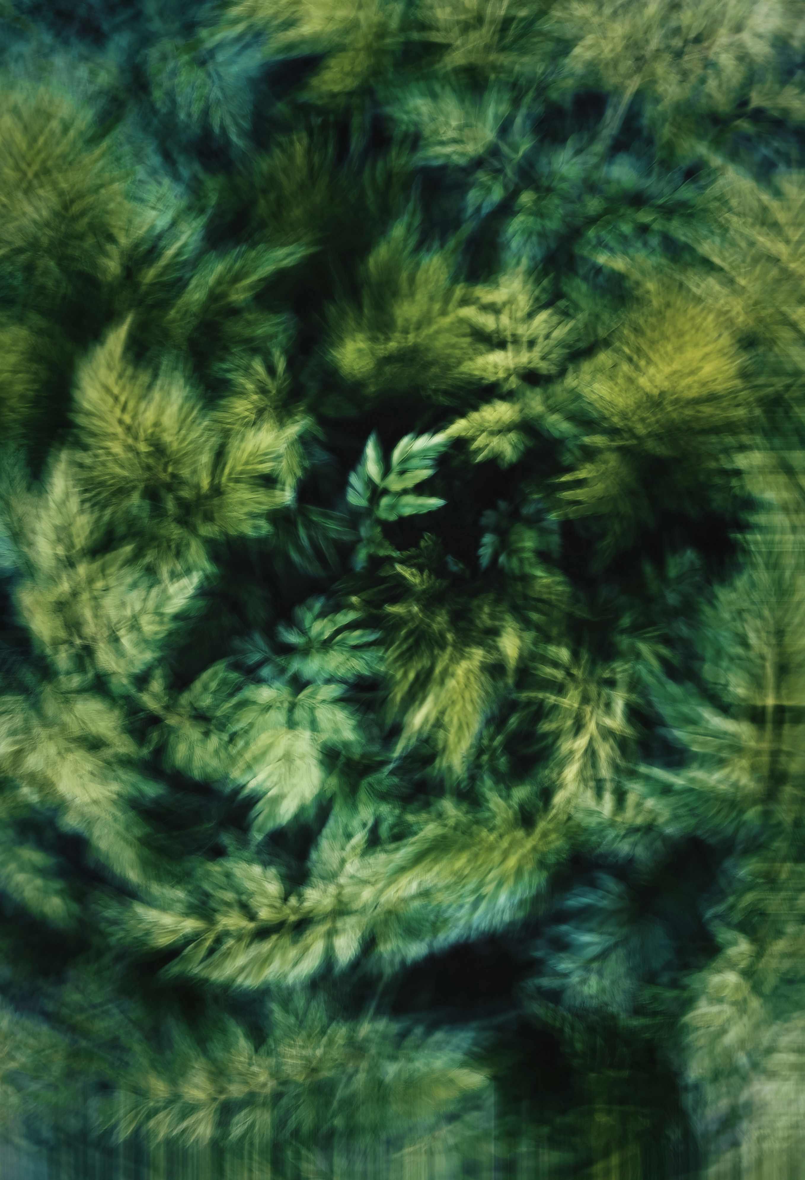 Photo by eugene_golovesov