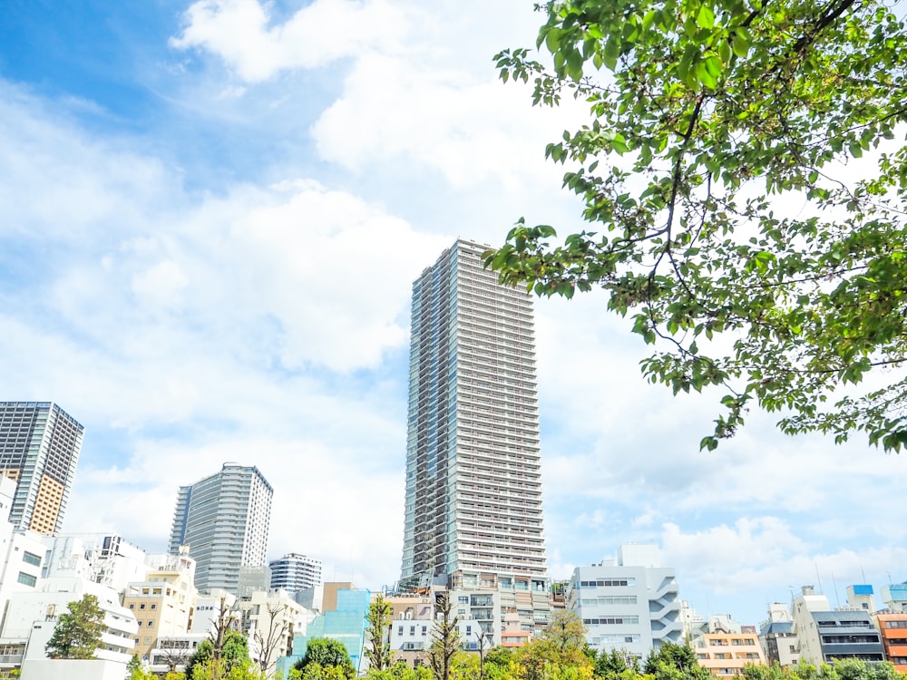 a park with trees and buildings in the background