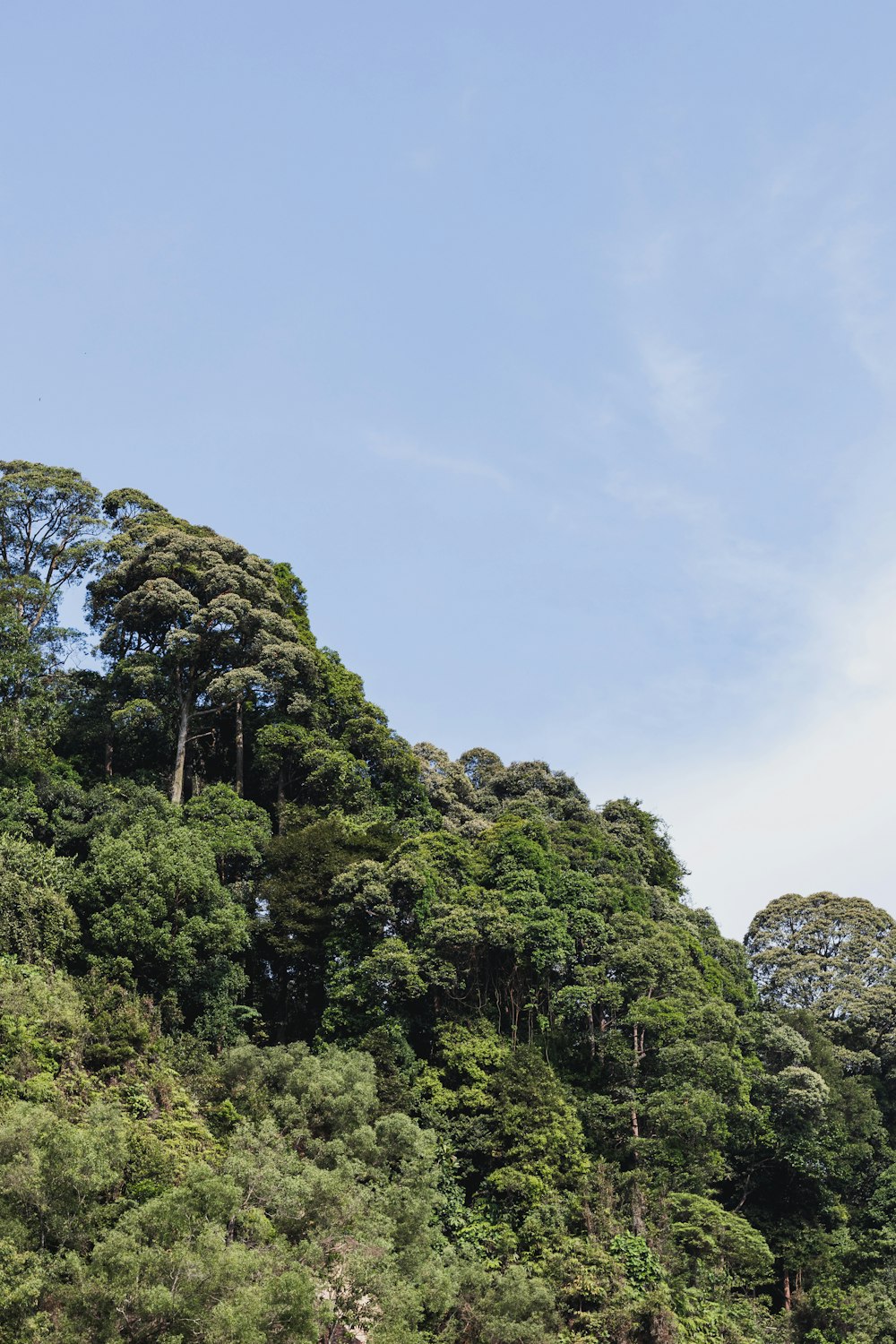 a boat floating on top of a body of water surrounded by trees