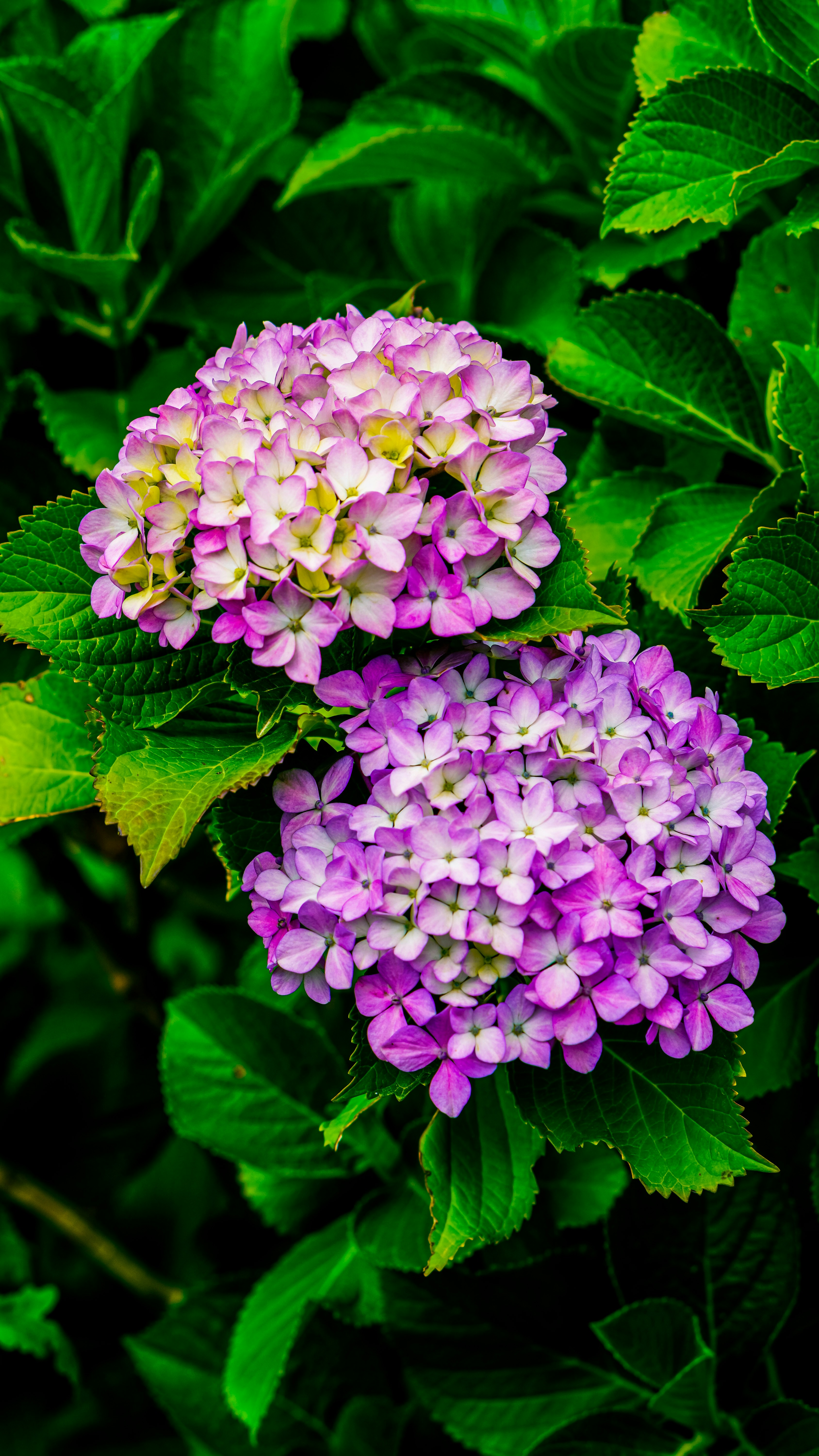 Photo by theartistrypixels