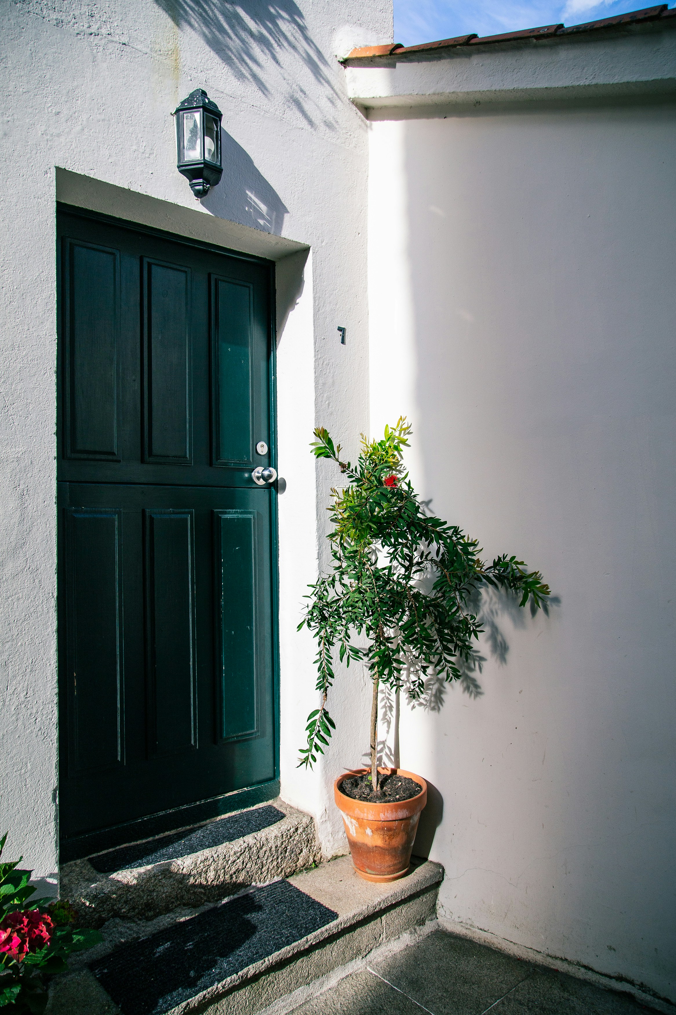 Photo by rosinharojo