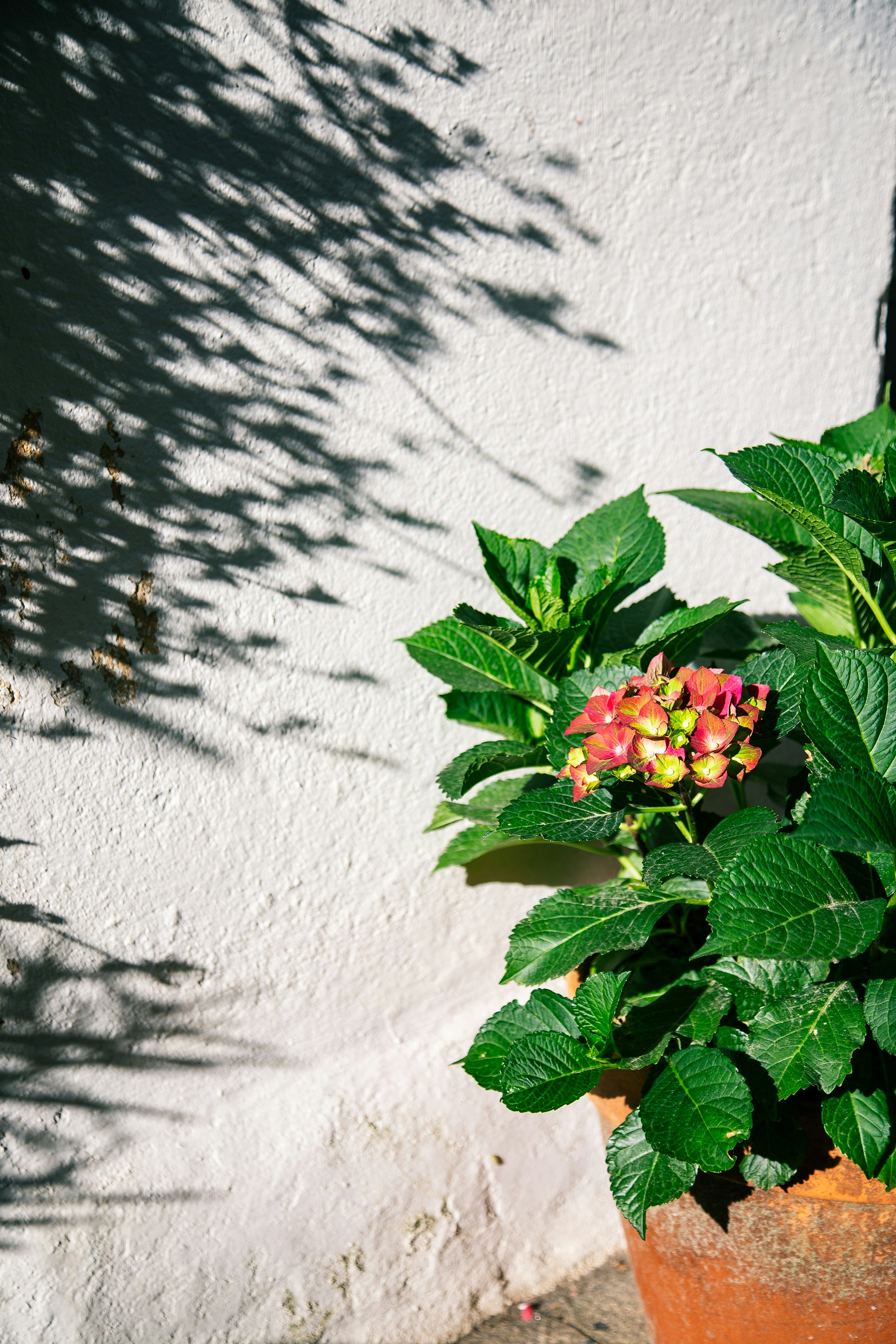 Photo by rosinharojo