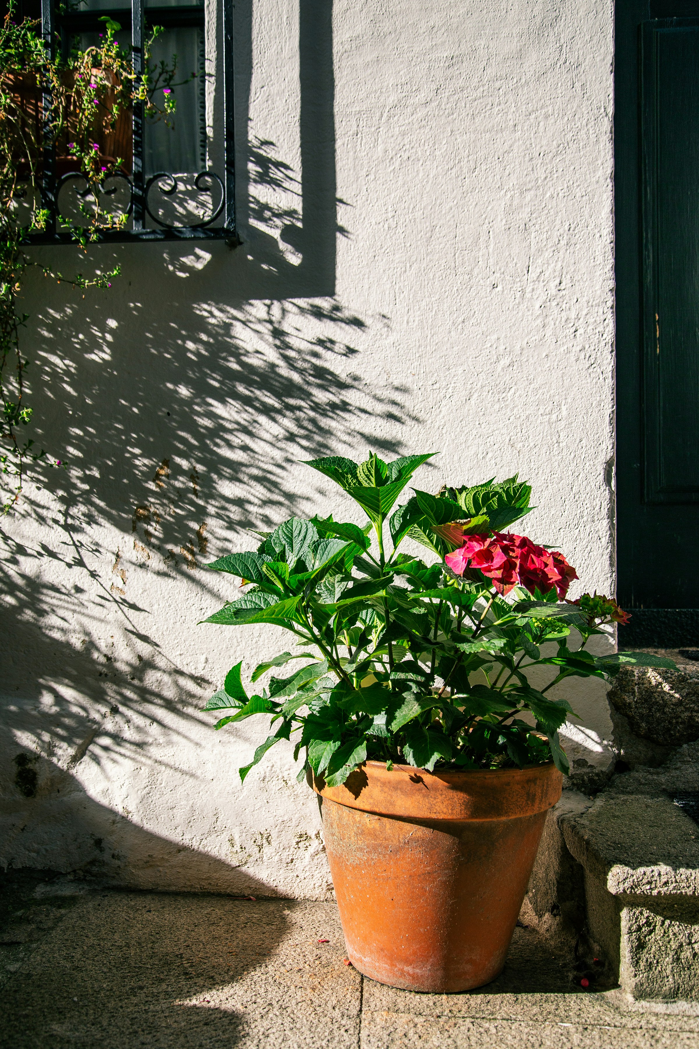 Photo by rosinharojo