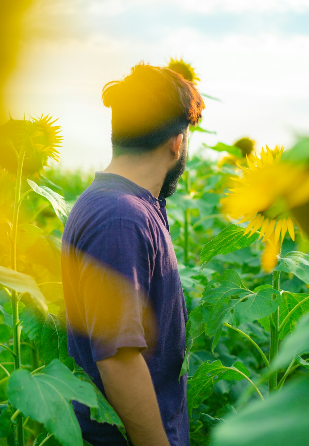 a man standing in a field of sunflowers