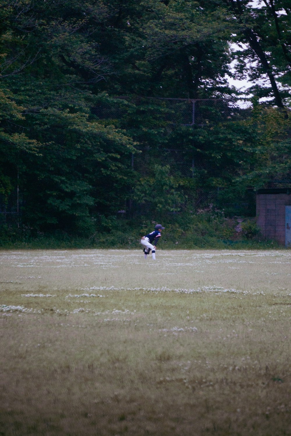 a dog running across a grass covered field