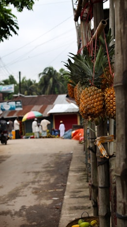 Pineapples are hanging from wooden posts along a street market. A few people in the distance appear to be interacting near colorful umbrellas, indicating market activity. The atmosphere suggests a small, local market with fruits displayed for sale.