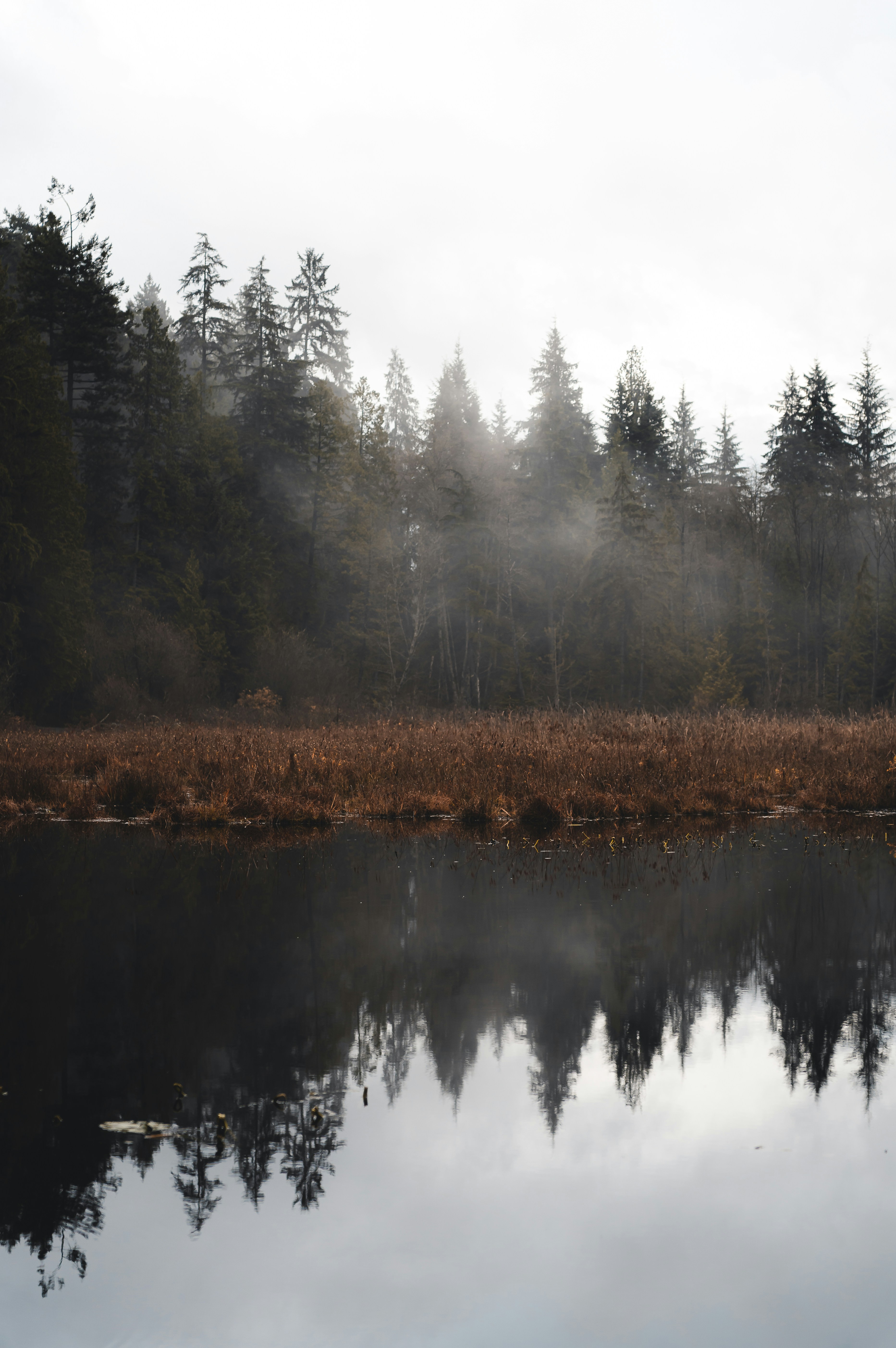 Photo by willianjusten