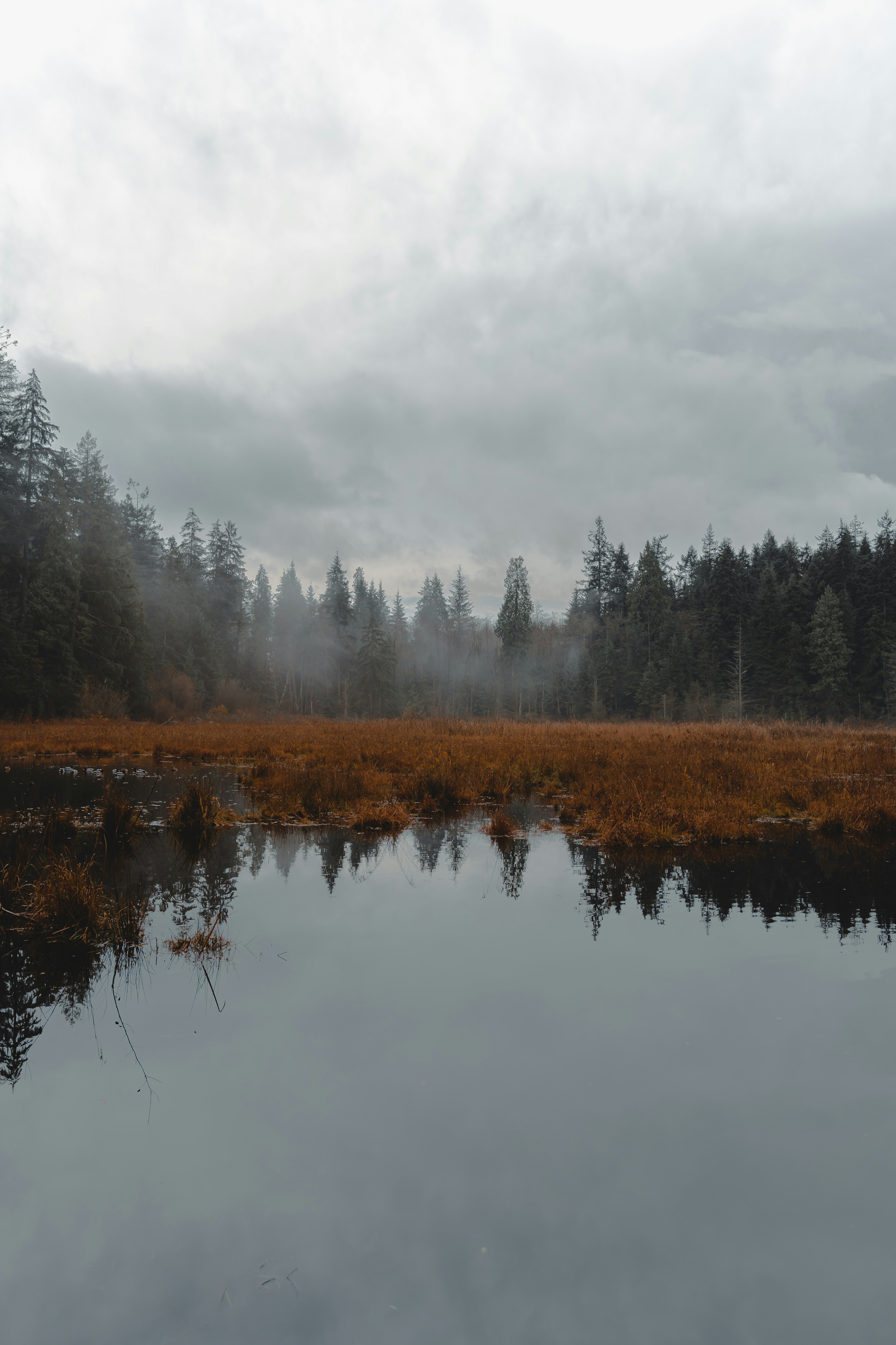 Photo by willianjusten