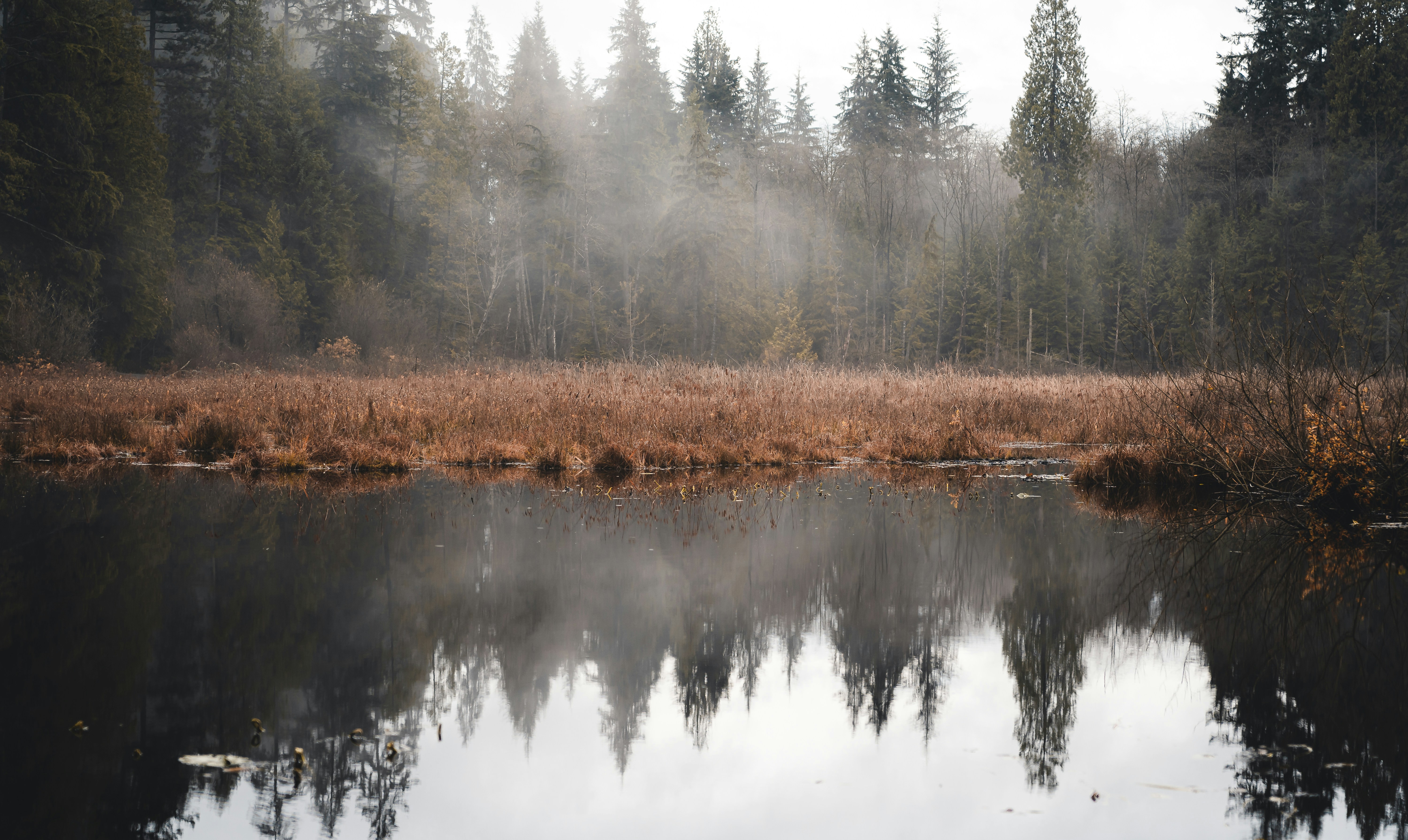 Photo by willianjusten