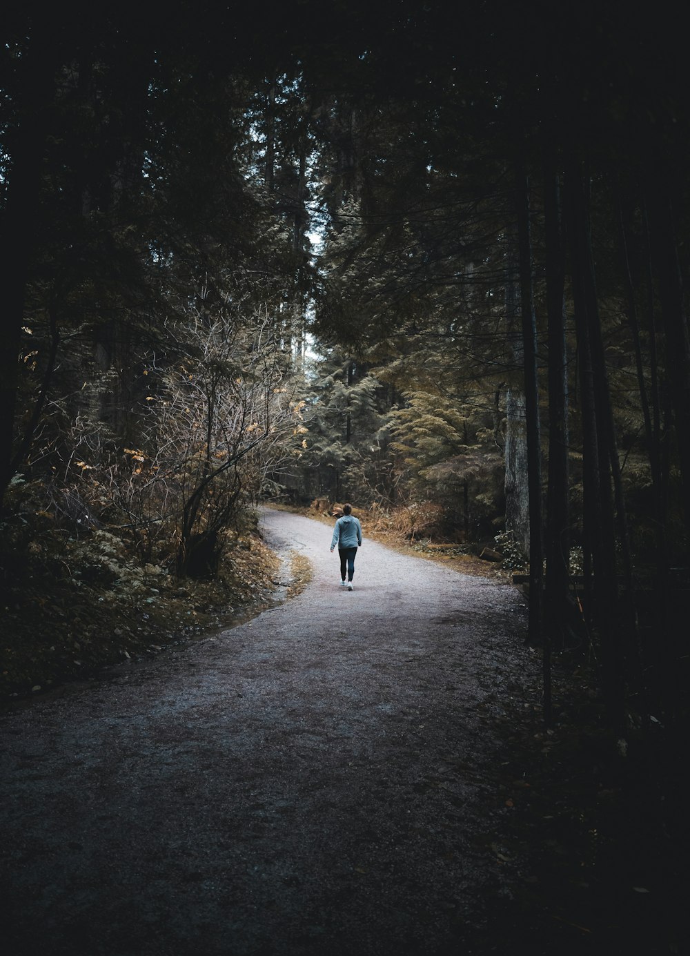 a person walking down a path in the woods