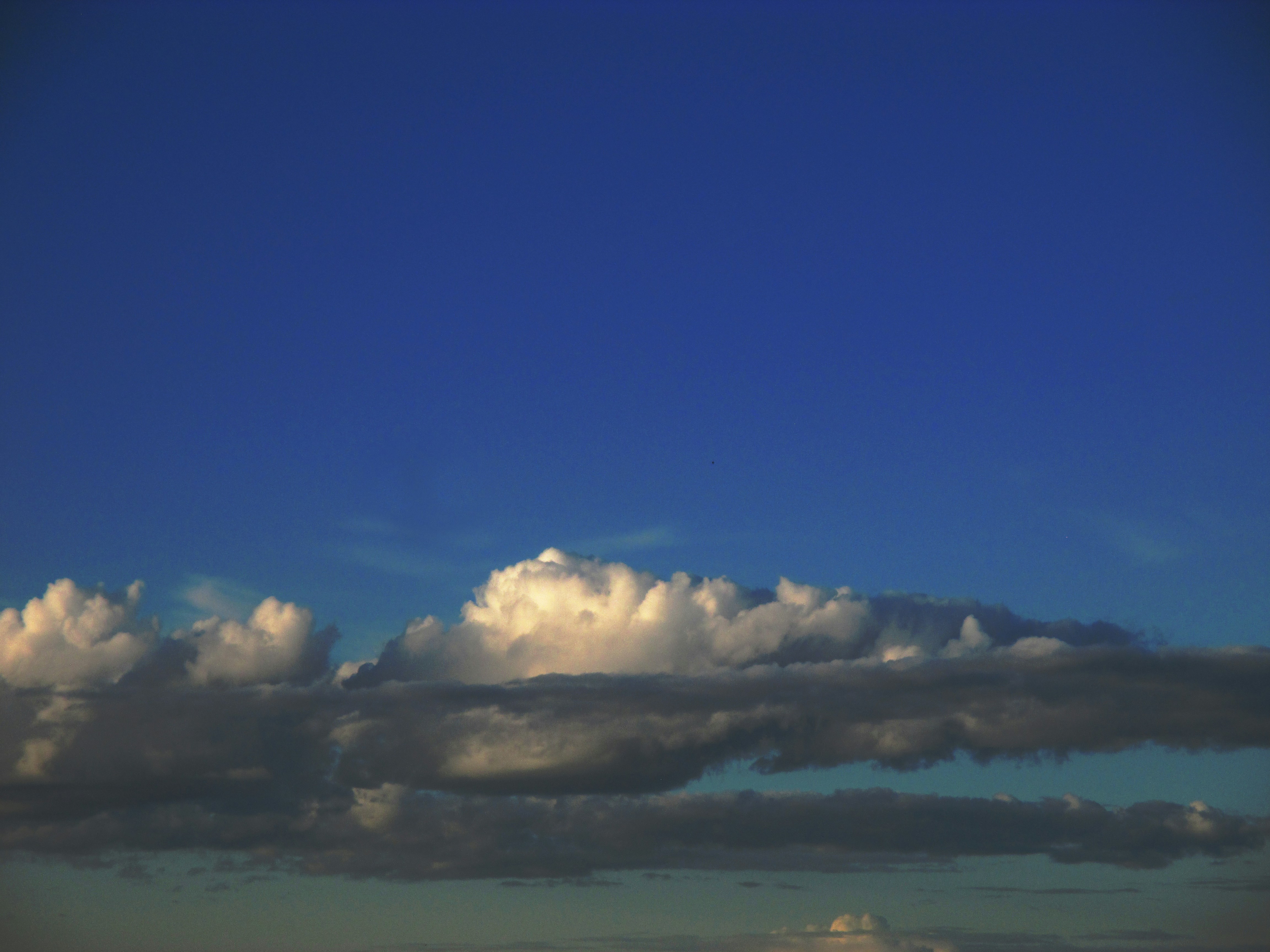 Photo by beauty_is_everywhere