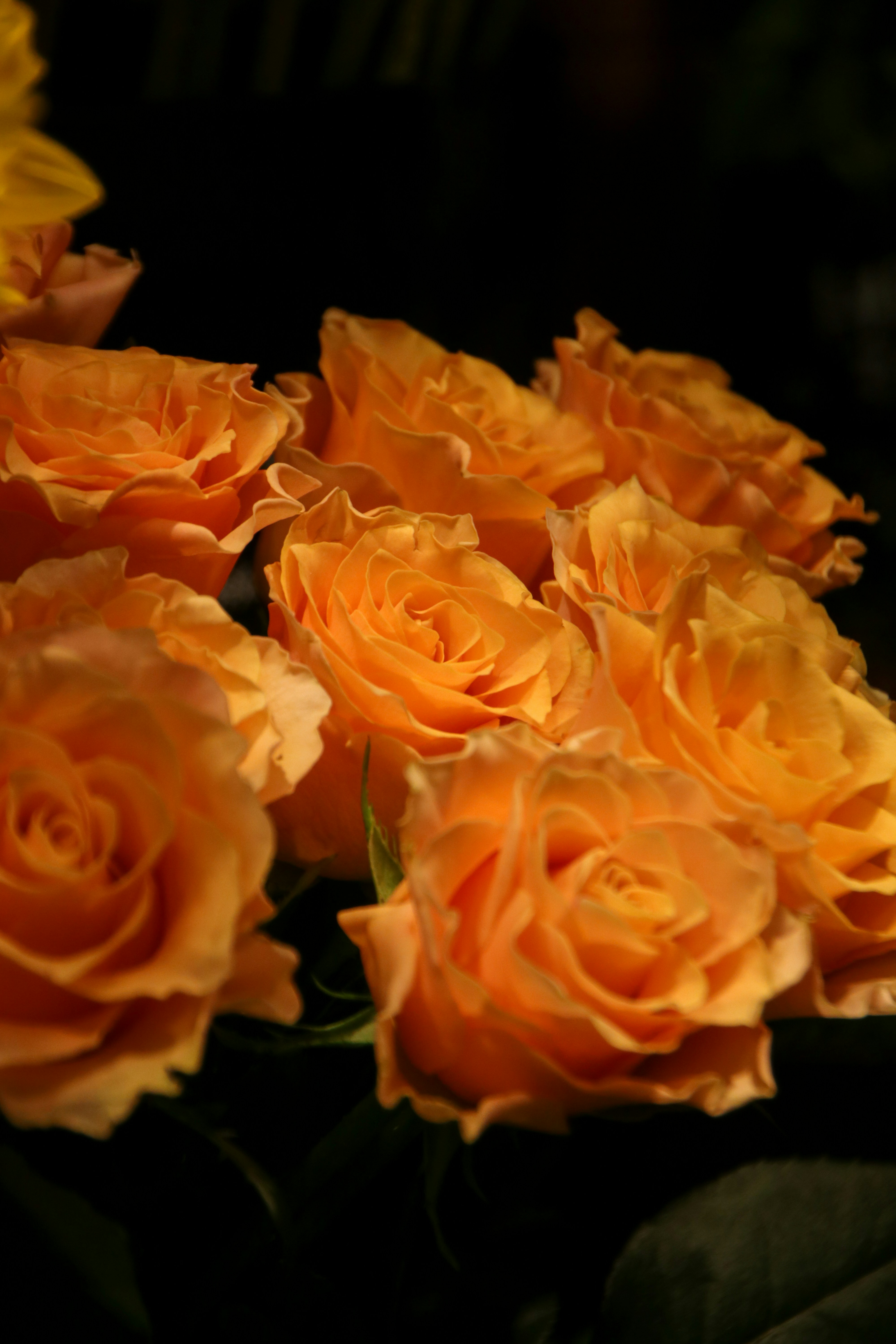 Photo by hiroyukisenn