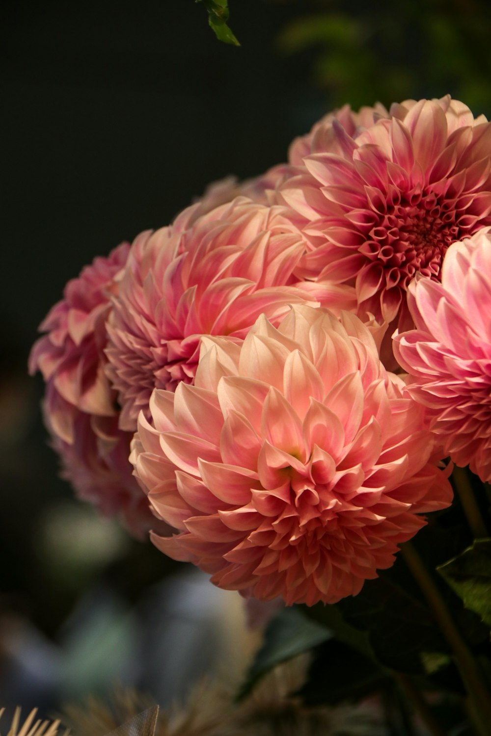 a bunch of pink flowers in a vase