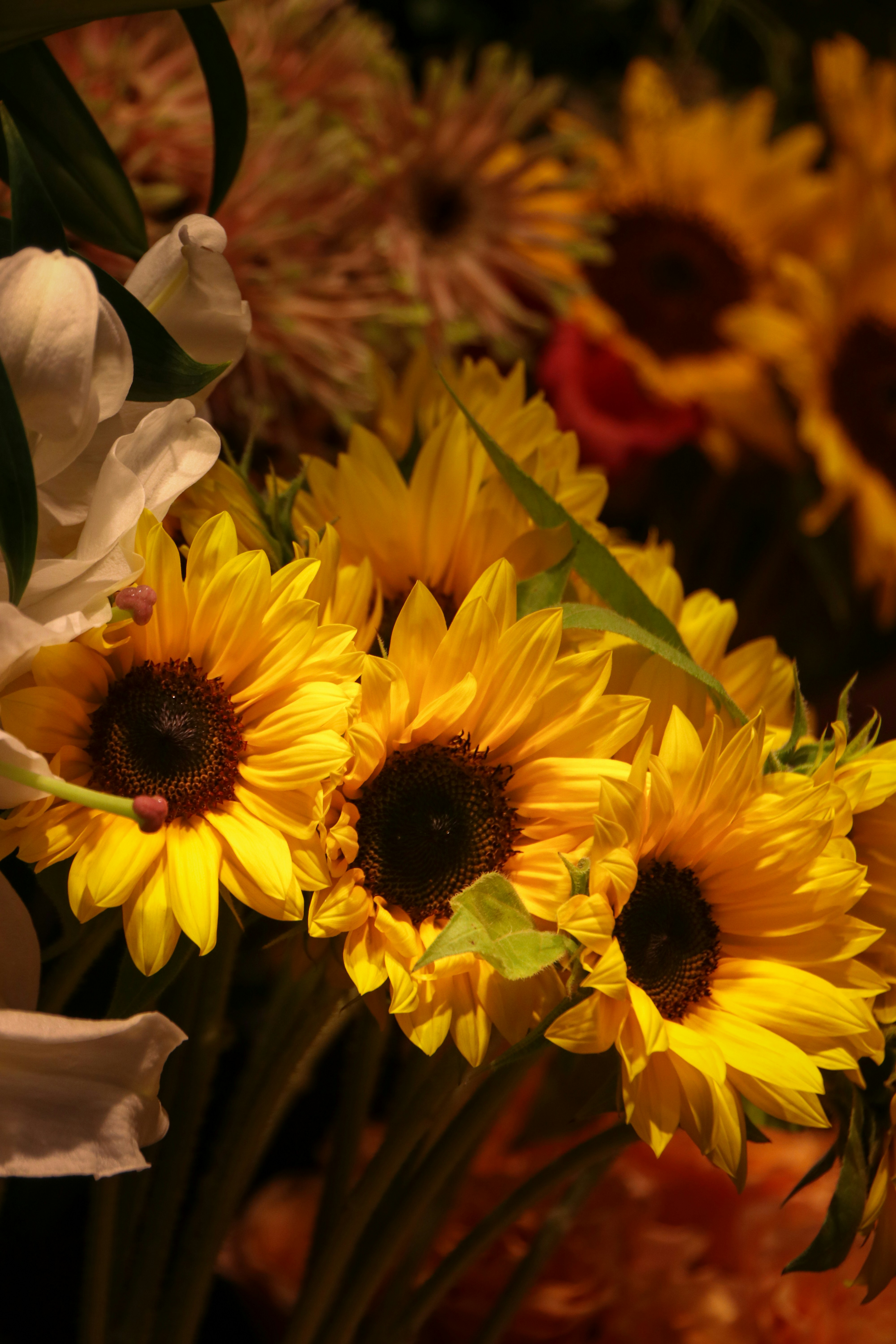 Photo by hiroyukisenn