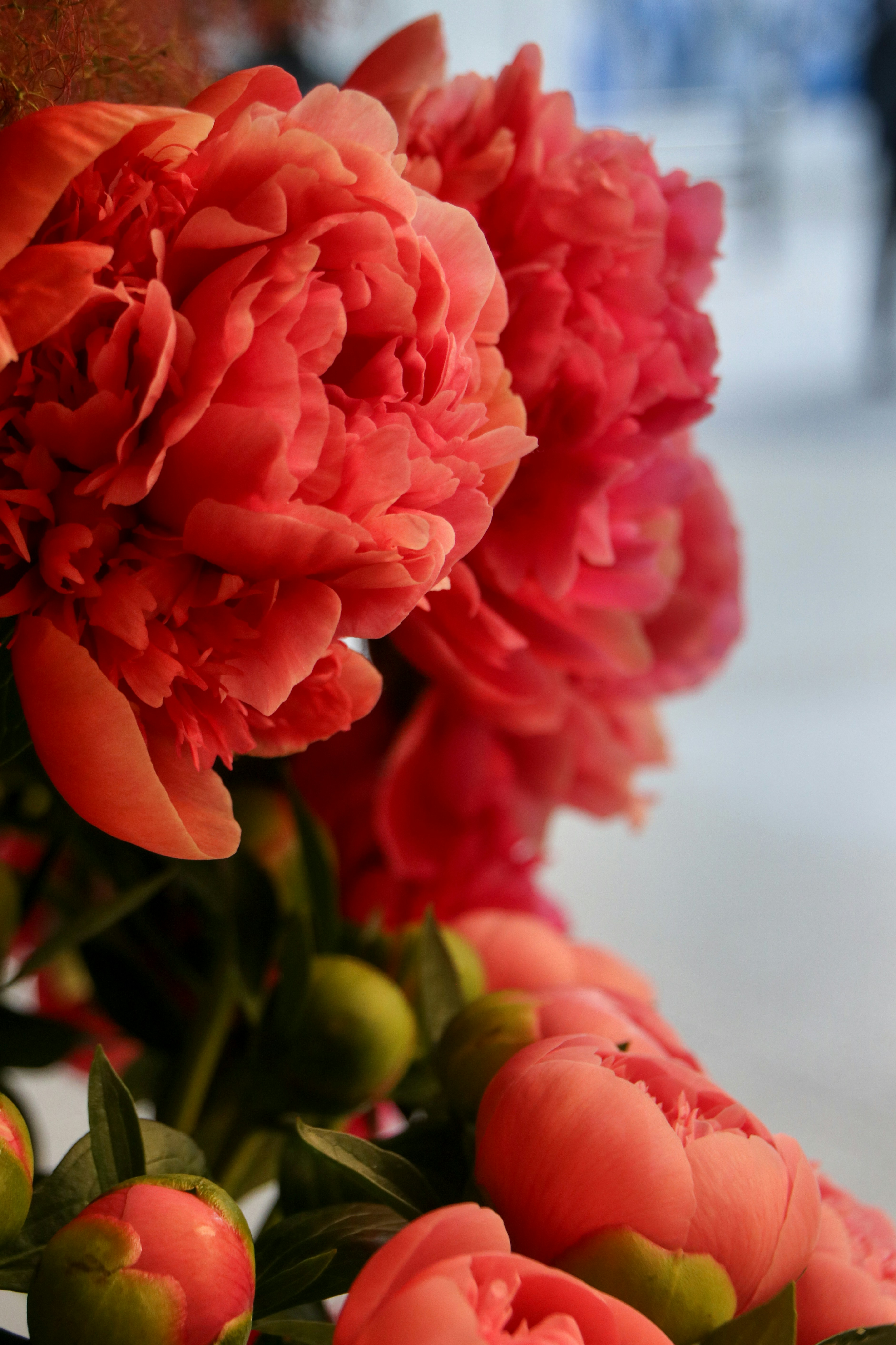 Photo by hiroyukisenn