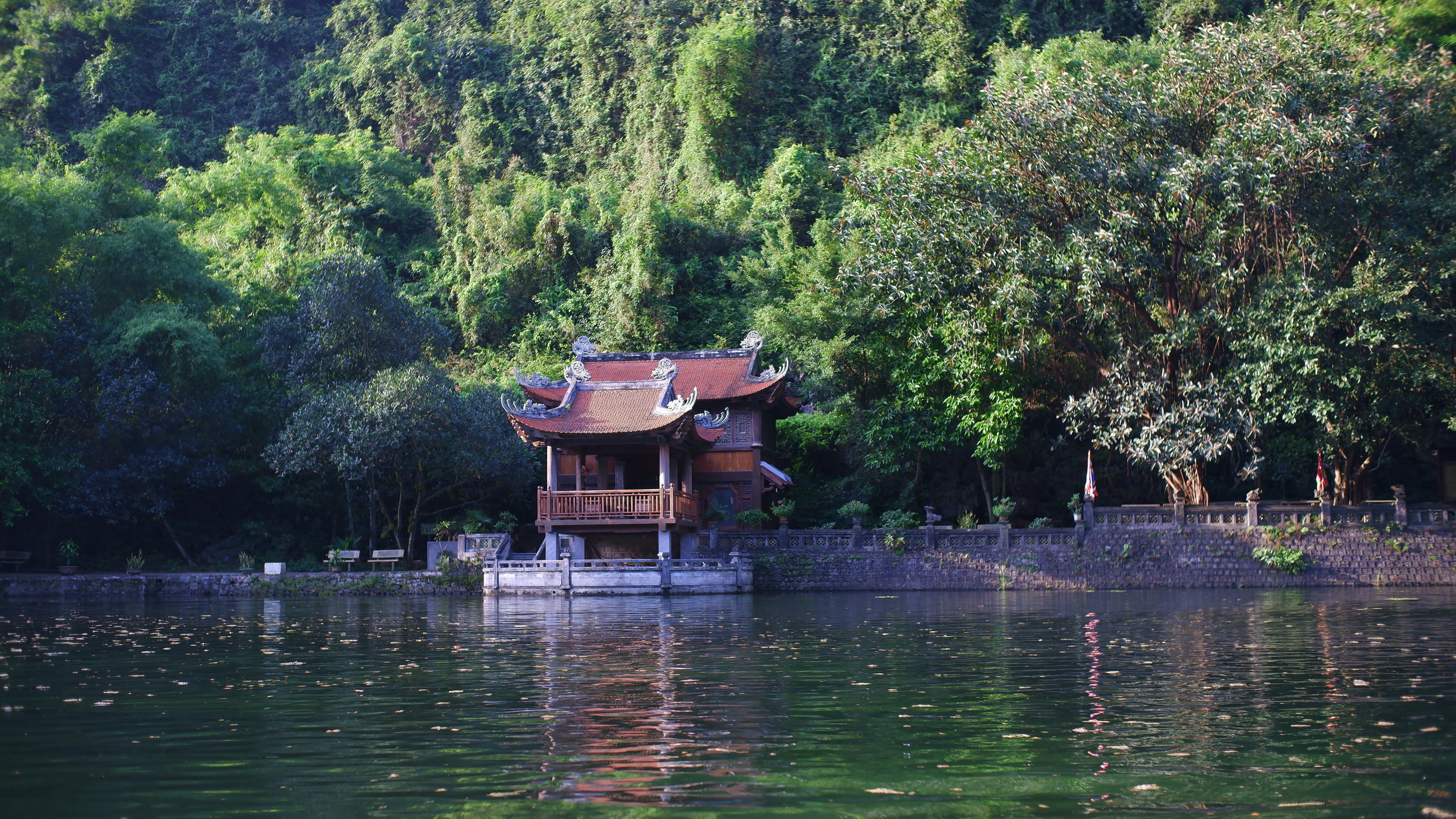 Photo by dvhoang2106