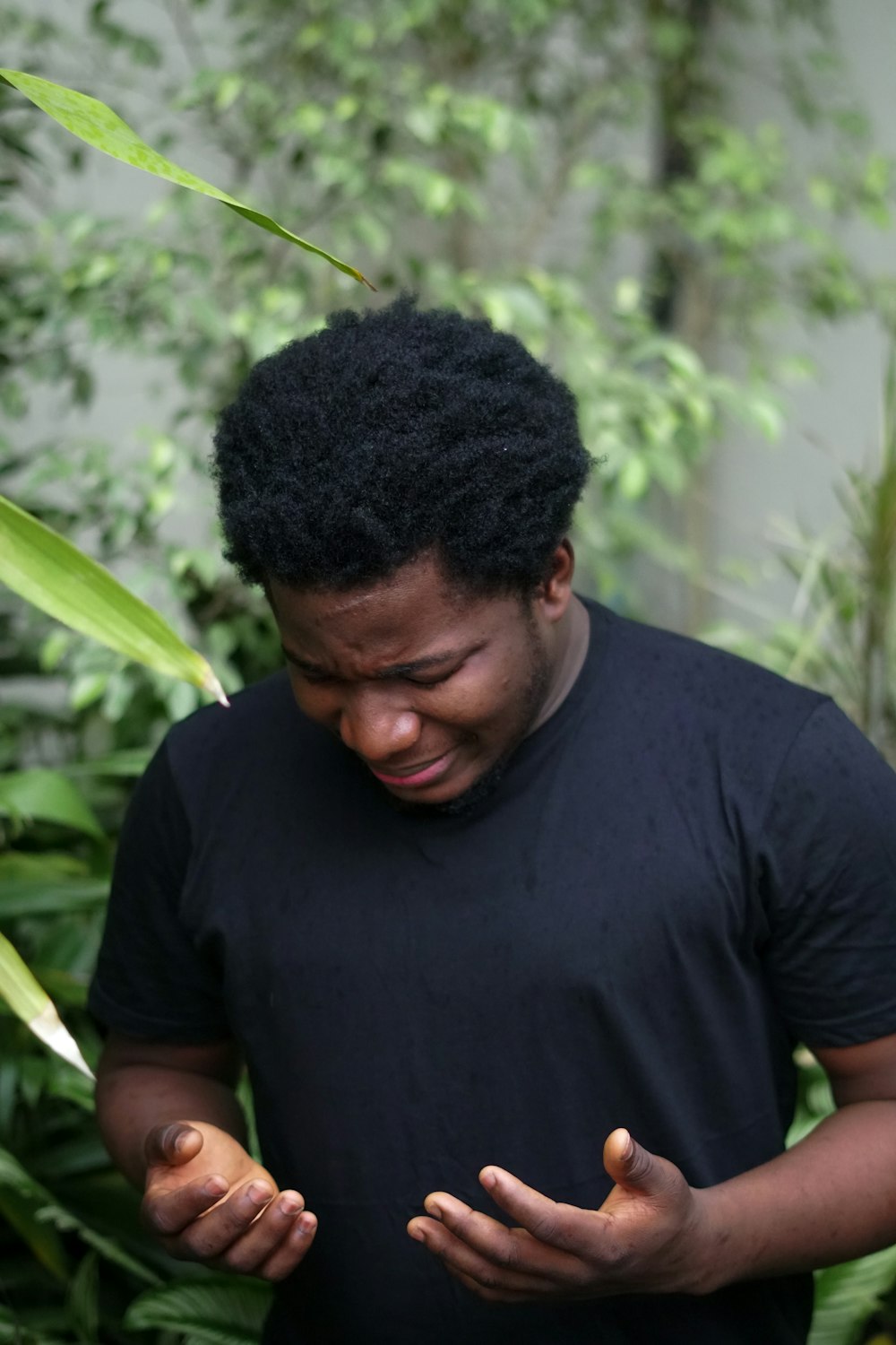 a man standing in front of a bush looking at his cell phone