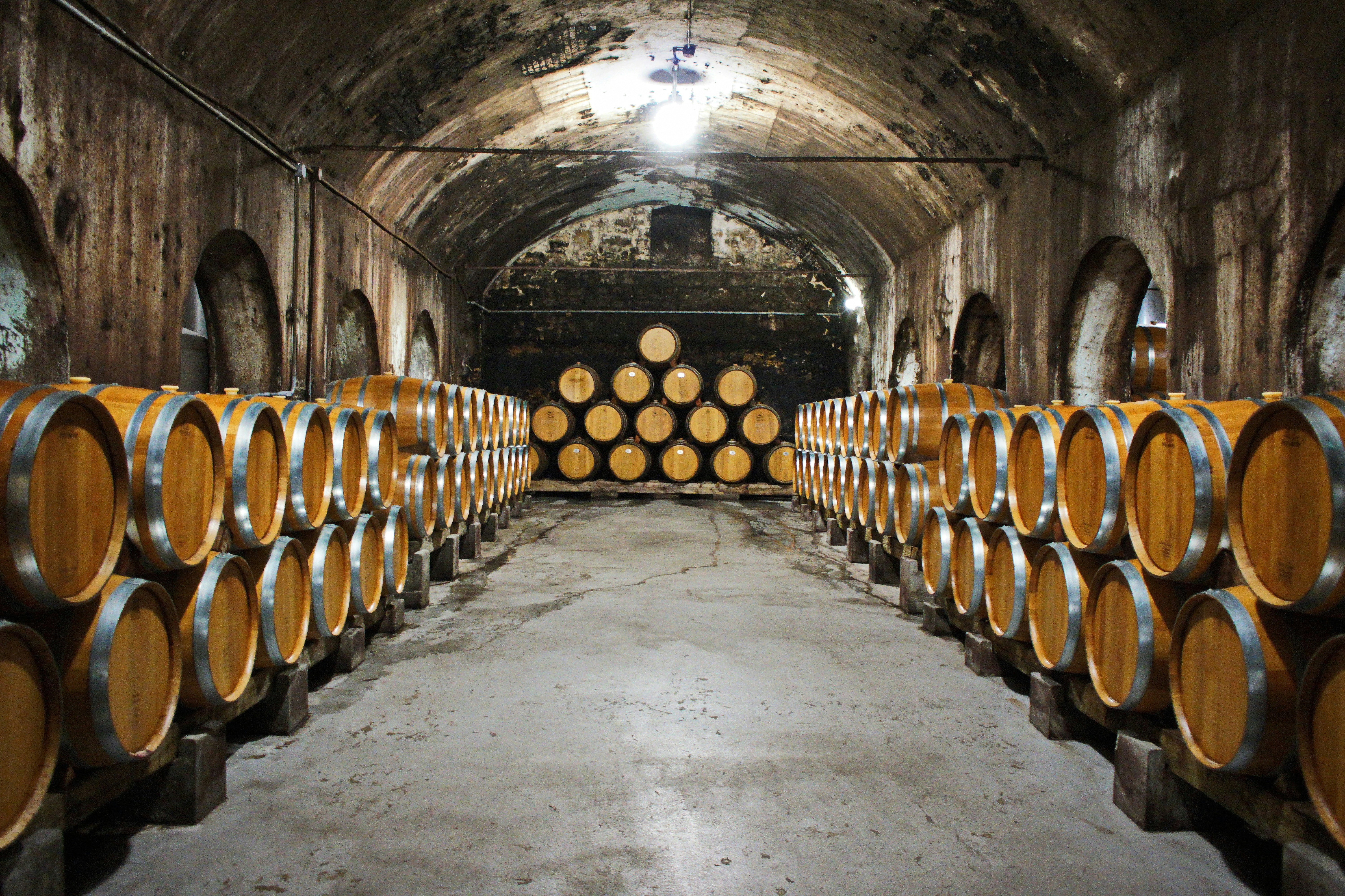 a tunnel filled with lots of wooden barrels, 