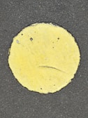 A close-up of a paintbrush applying yellow paint on asphalt.