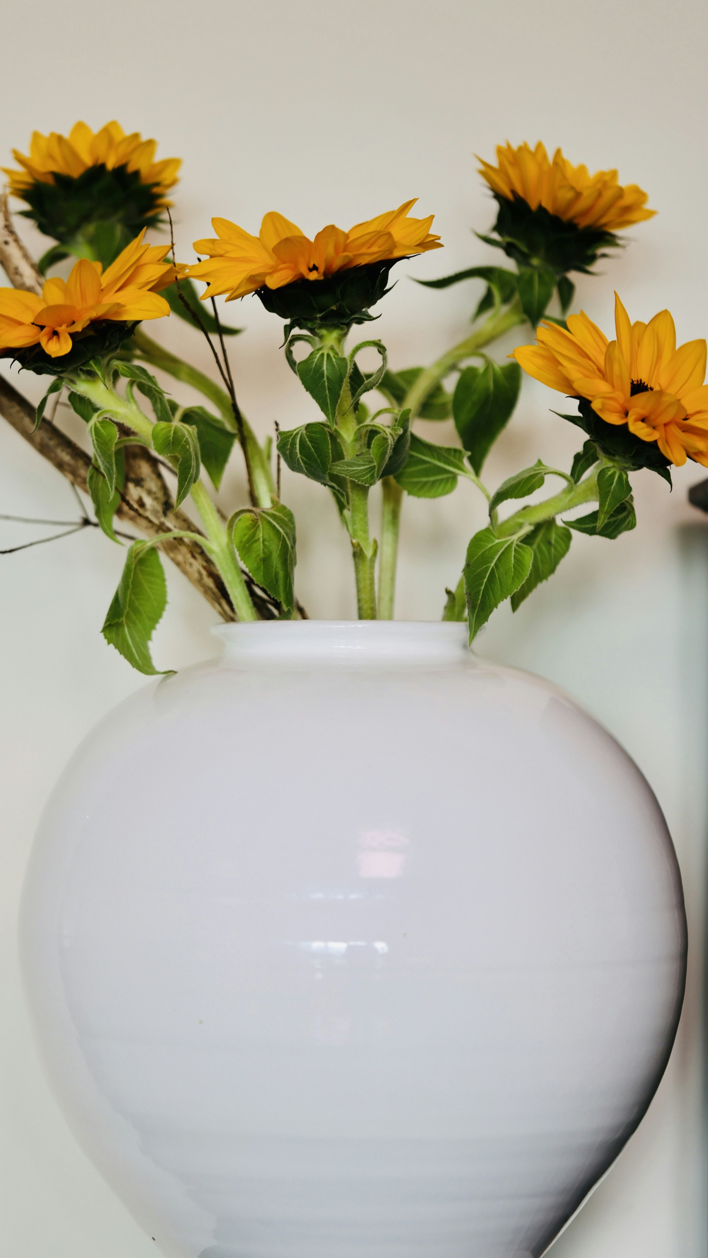 Photo by dickenslin76