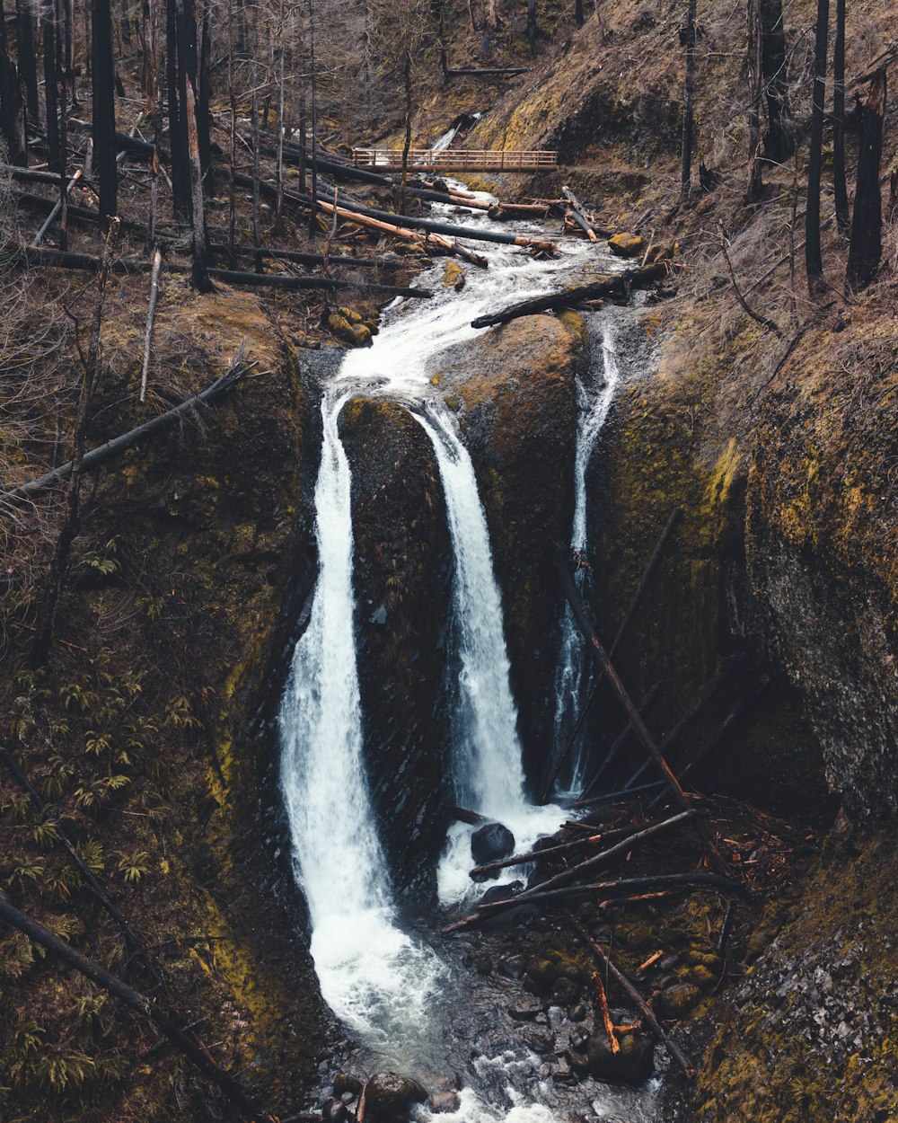 a small waterfall in the middle of a forest