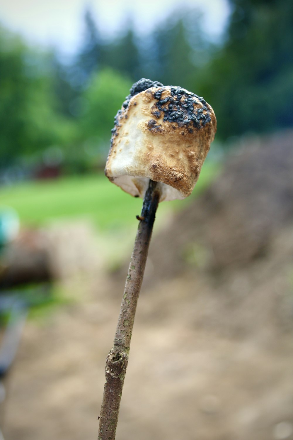 a close up of a piece of food on a stick