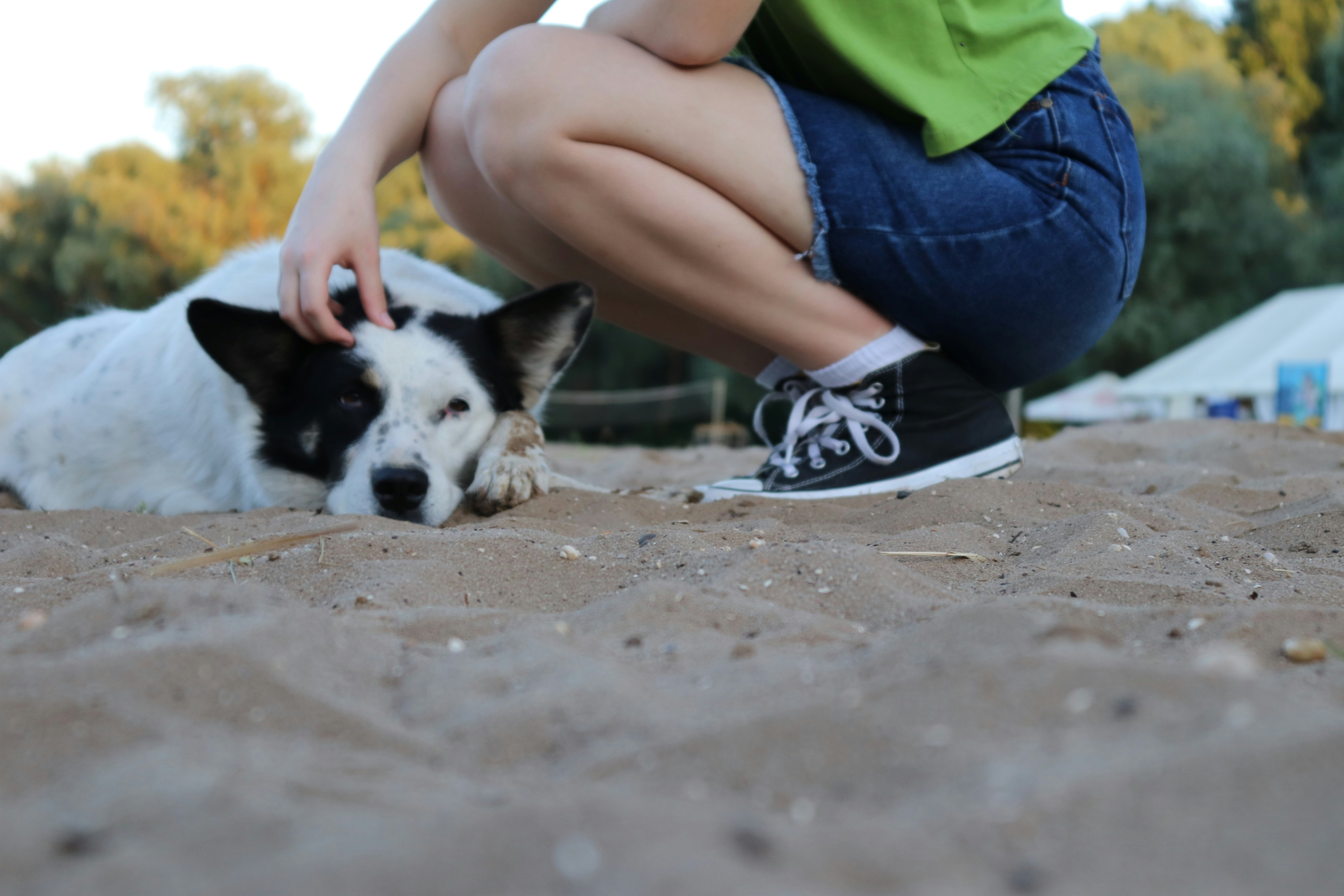 Eine Frau, die neben einem Hund kniet
