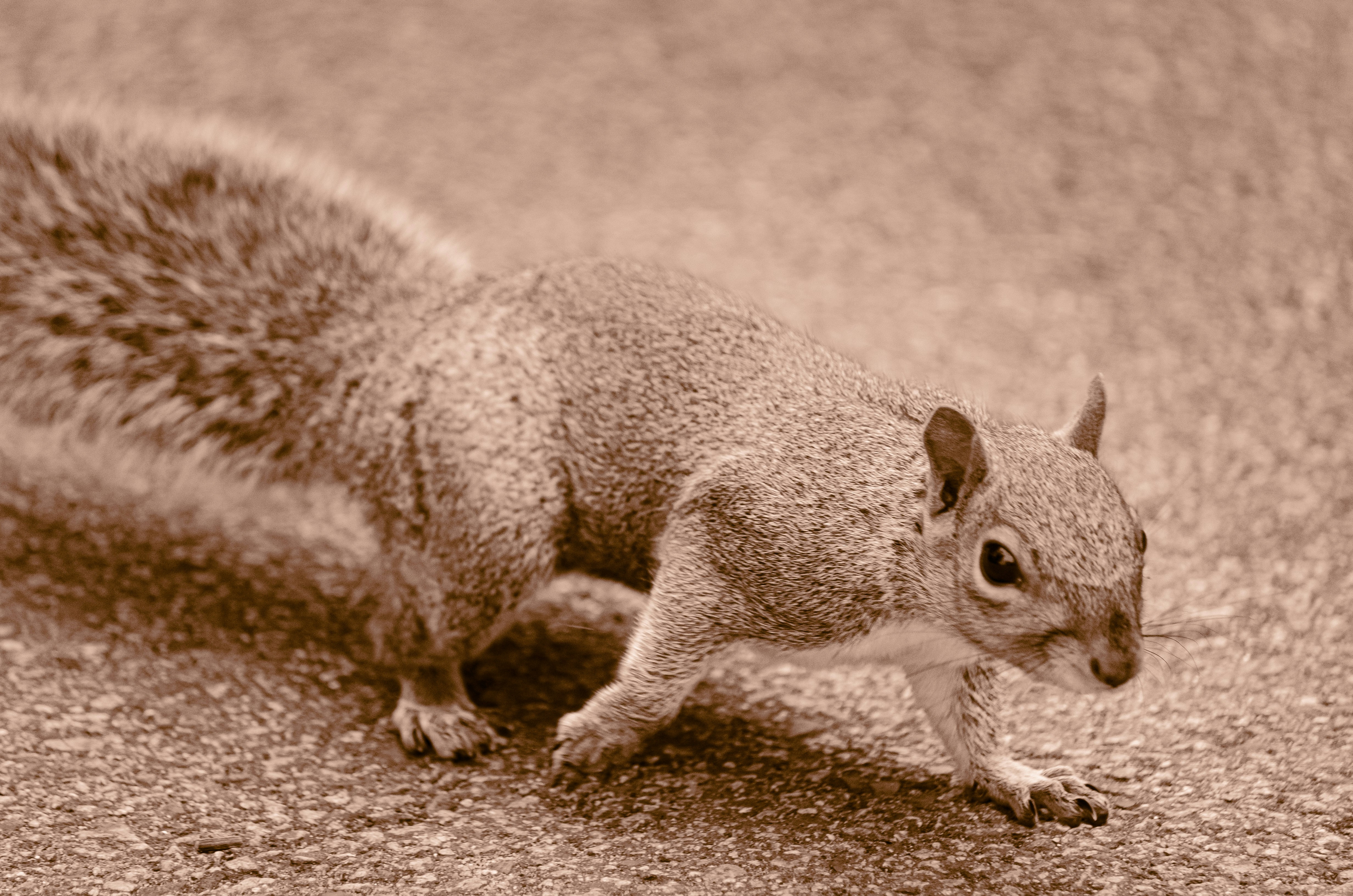 Grading Vintage Toys in 2026: Advanced Authentication, Conservation, and Market Signals