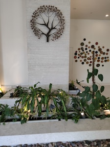 A decorative metal tree sculpture is mounted on a textured wall, above a series of neatly arranged indoor plants in a modern planter. Colorful circular decorations are displayed on the adjacent wall. The setting is well-lit with small spotlights illuminating the plants.