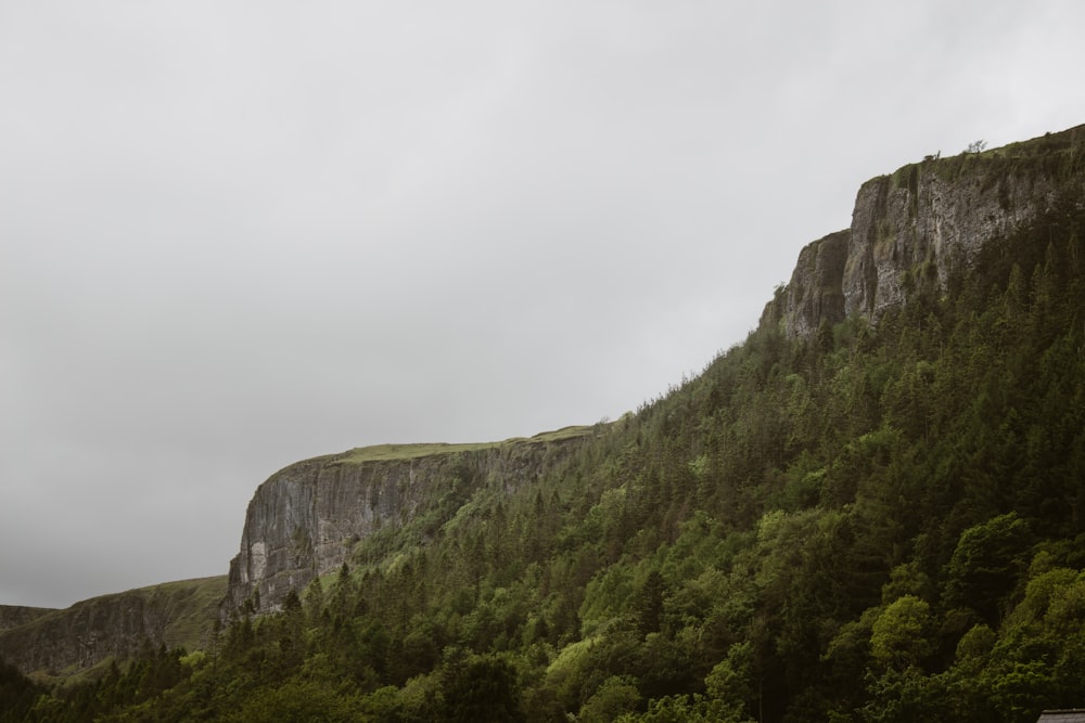 a large mountain with a forest on the side of it