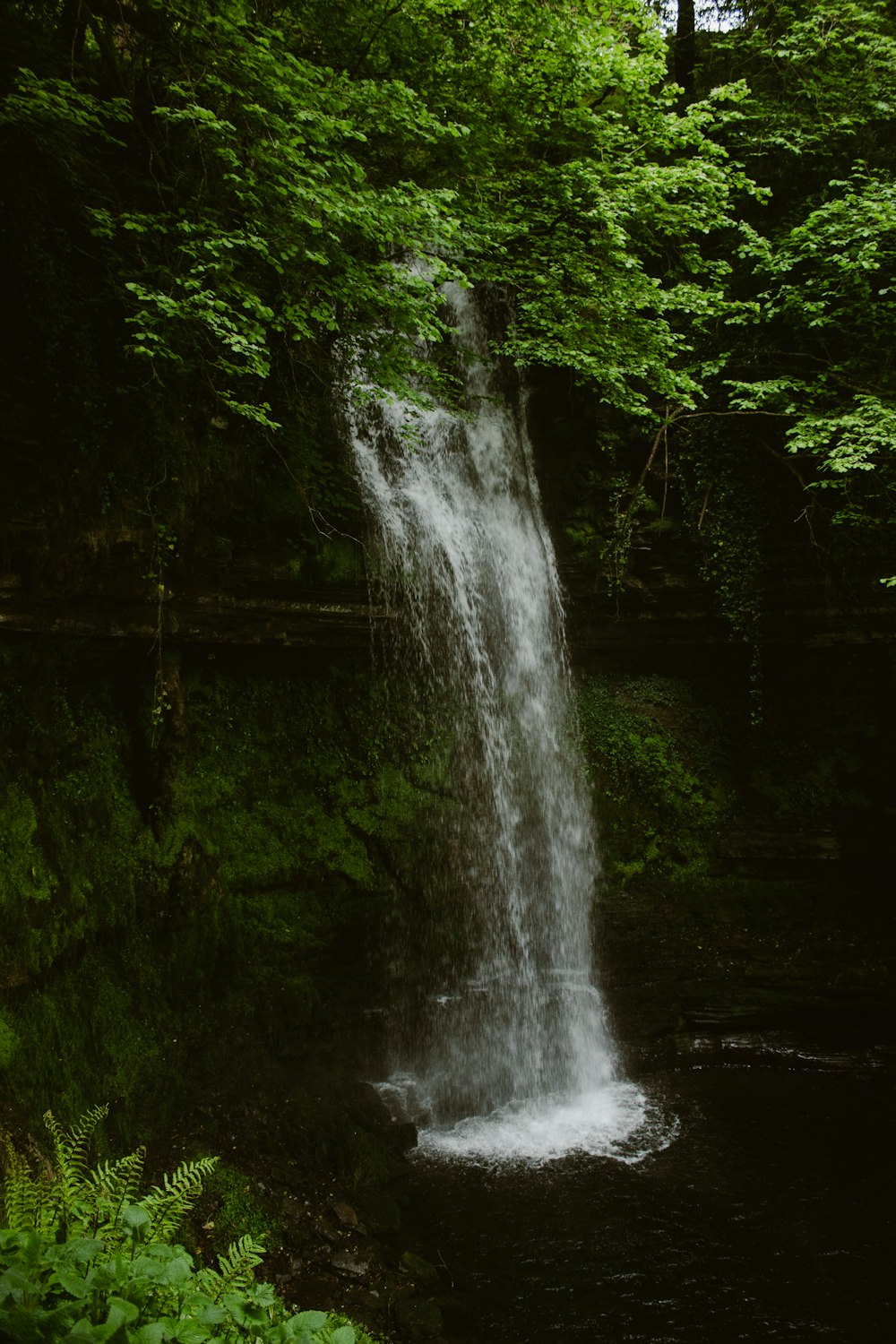 a waterfall in the middle of a forest