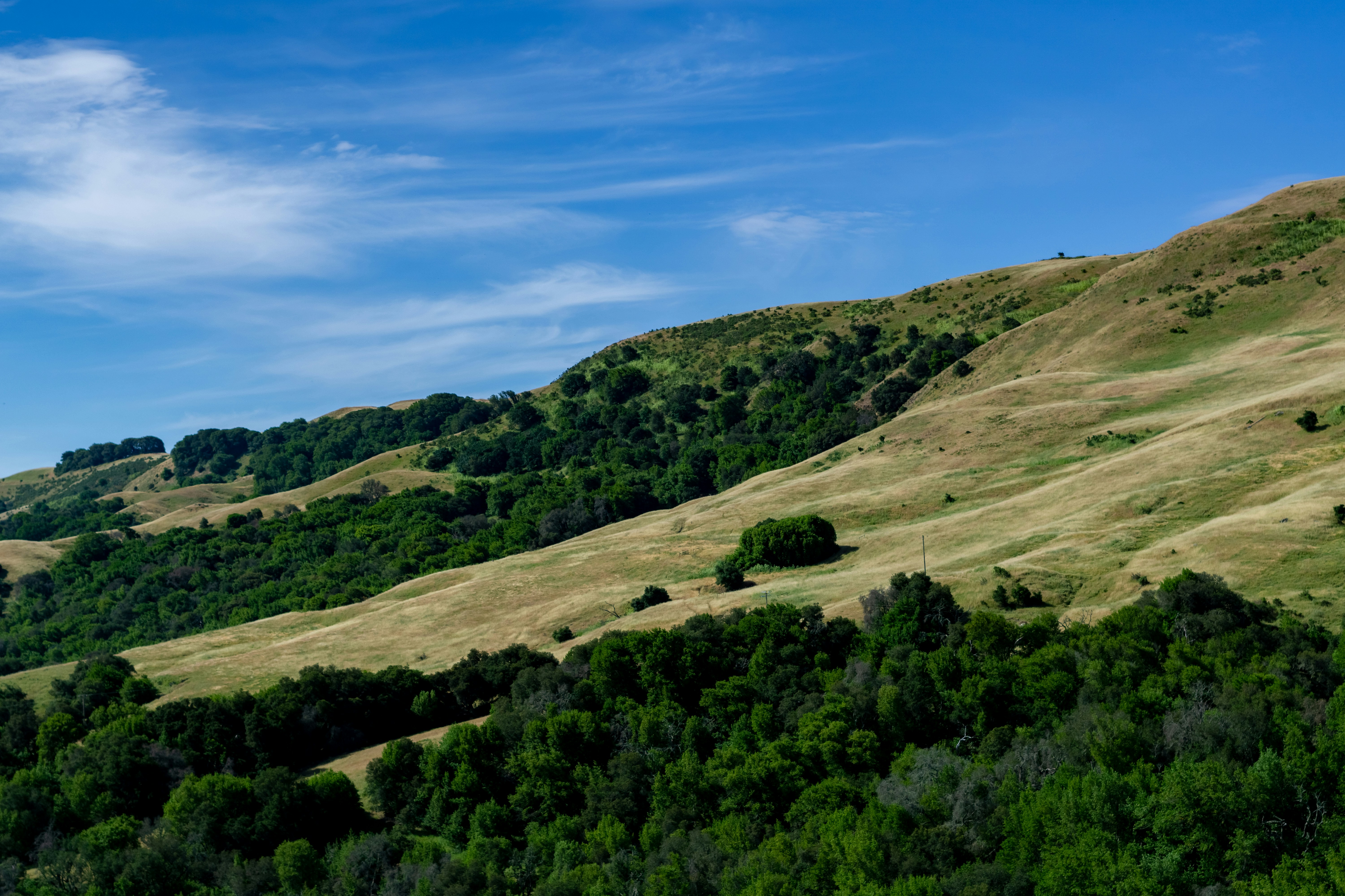 Monday Morning Headlines: The Bay Area Is Having Its Mildest Summer In Decades