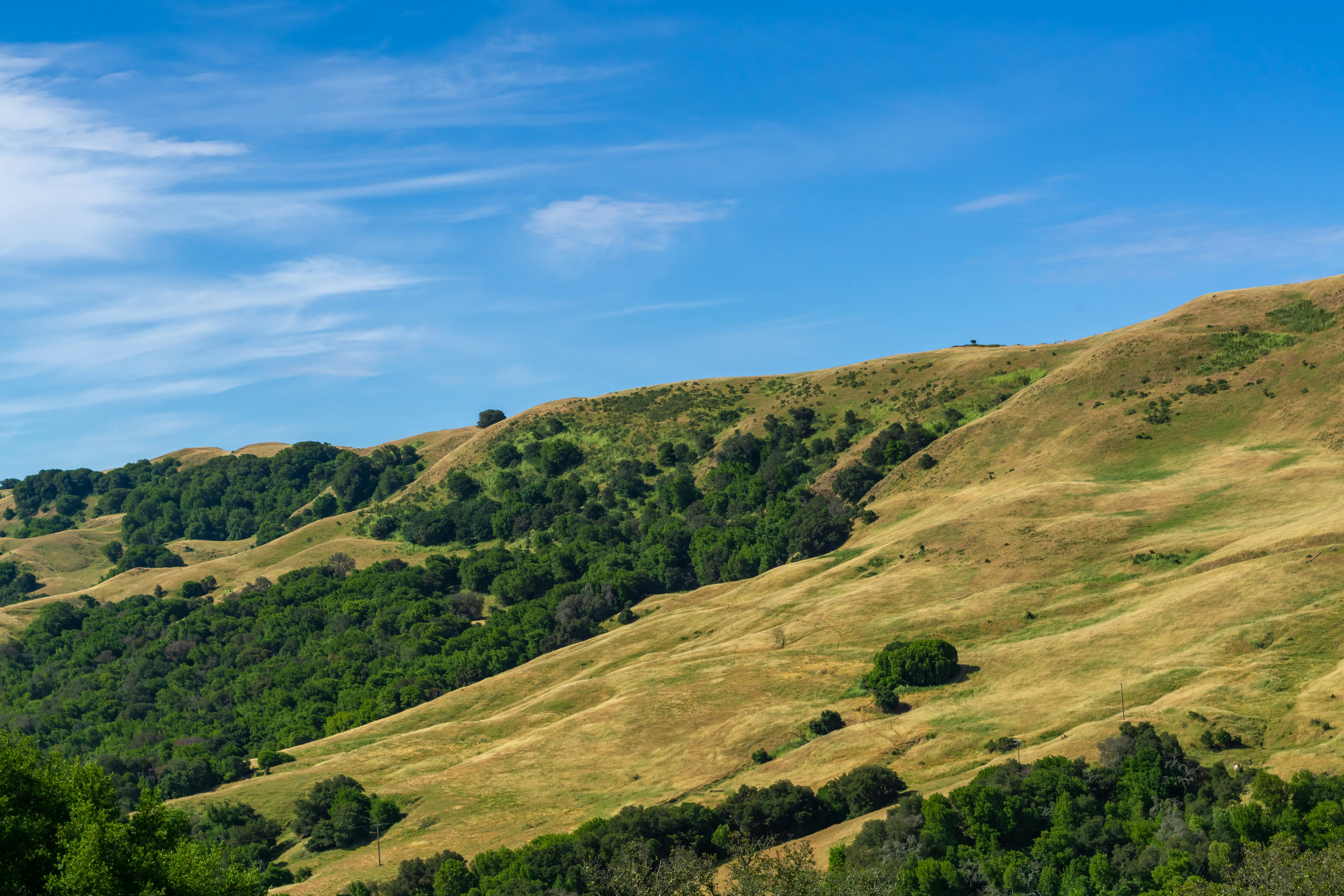 Photo by spencer_demera