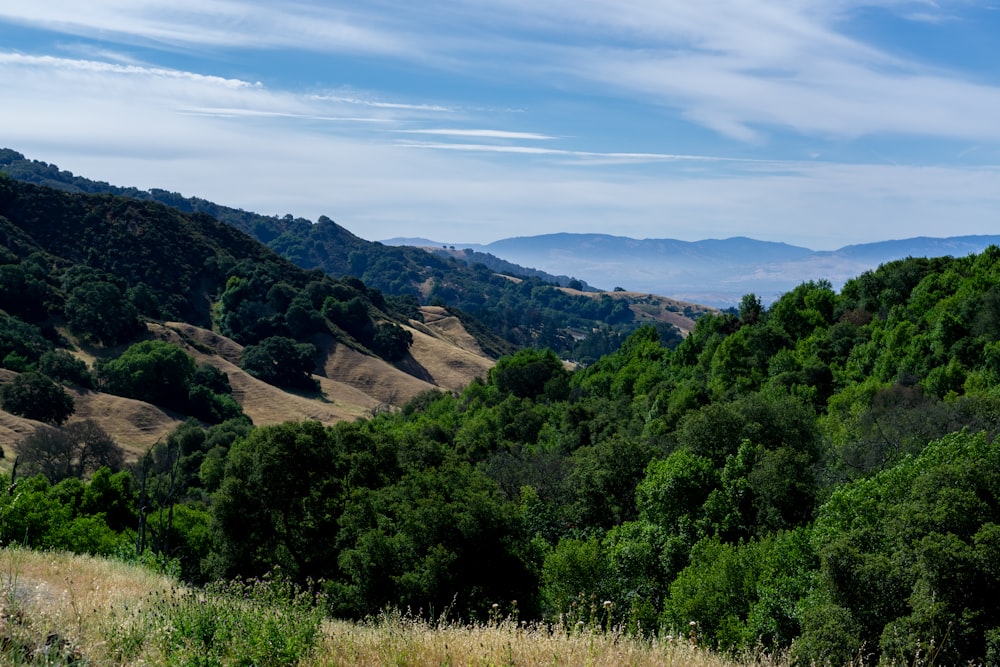 a view of a mountain range with trees and hills in the background