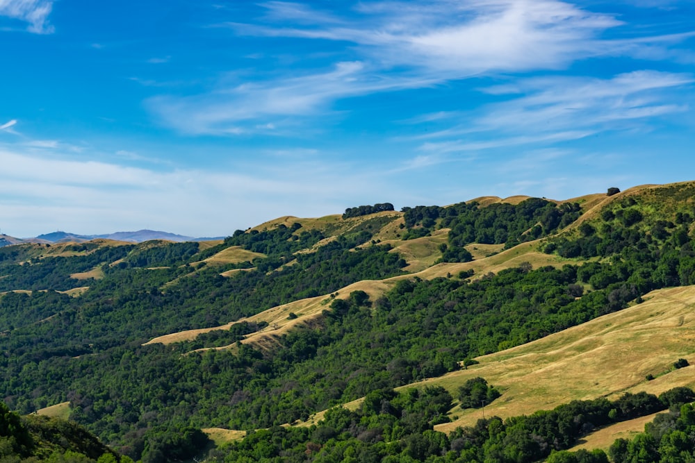 a scenic view of a mountain range with green trees