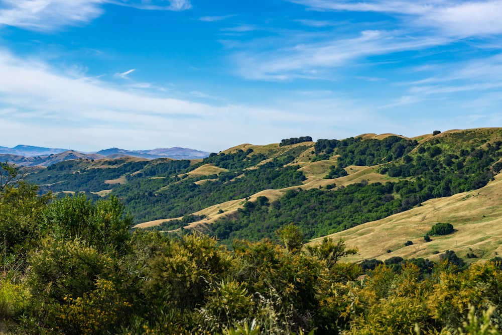 a scenic view of a hilly area with trees and mountains in the background