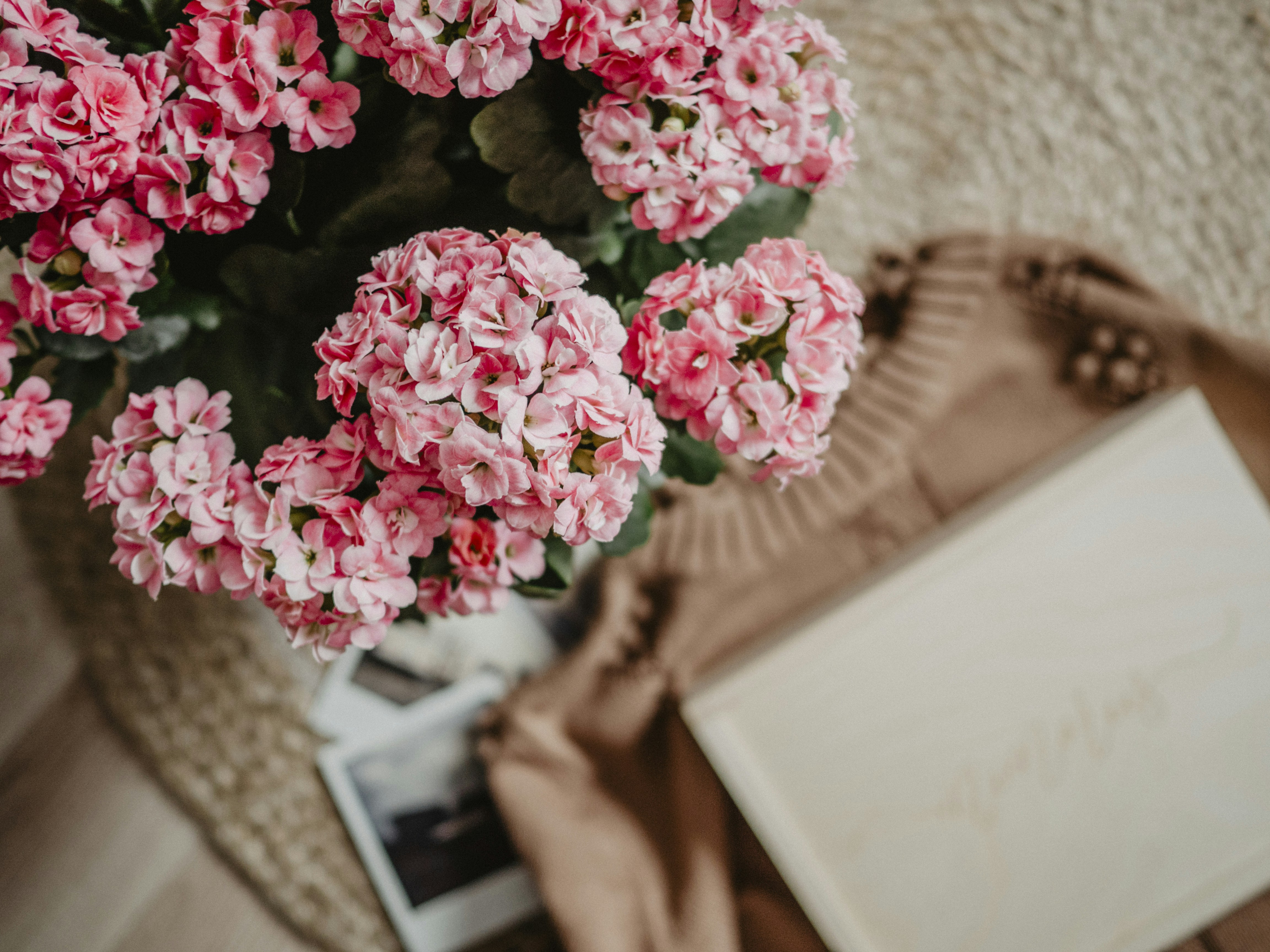 Photo by voskastudio