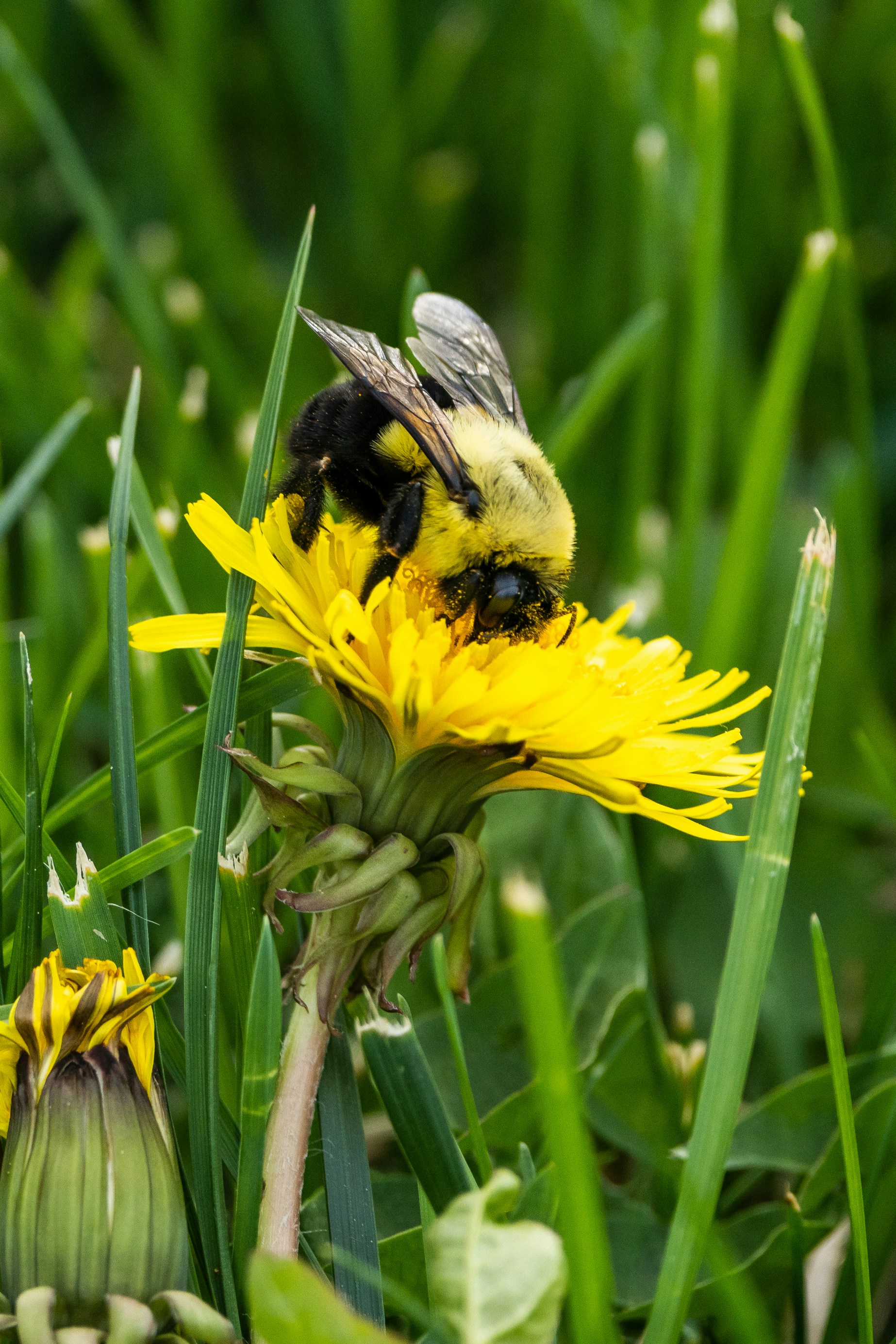 Photo by letslivealife