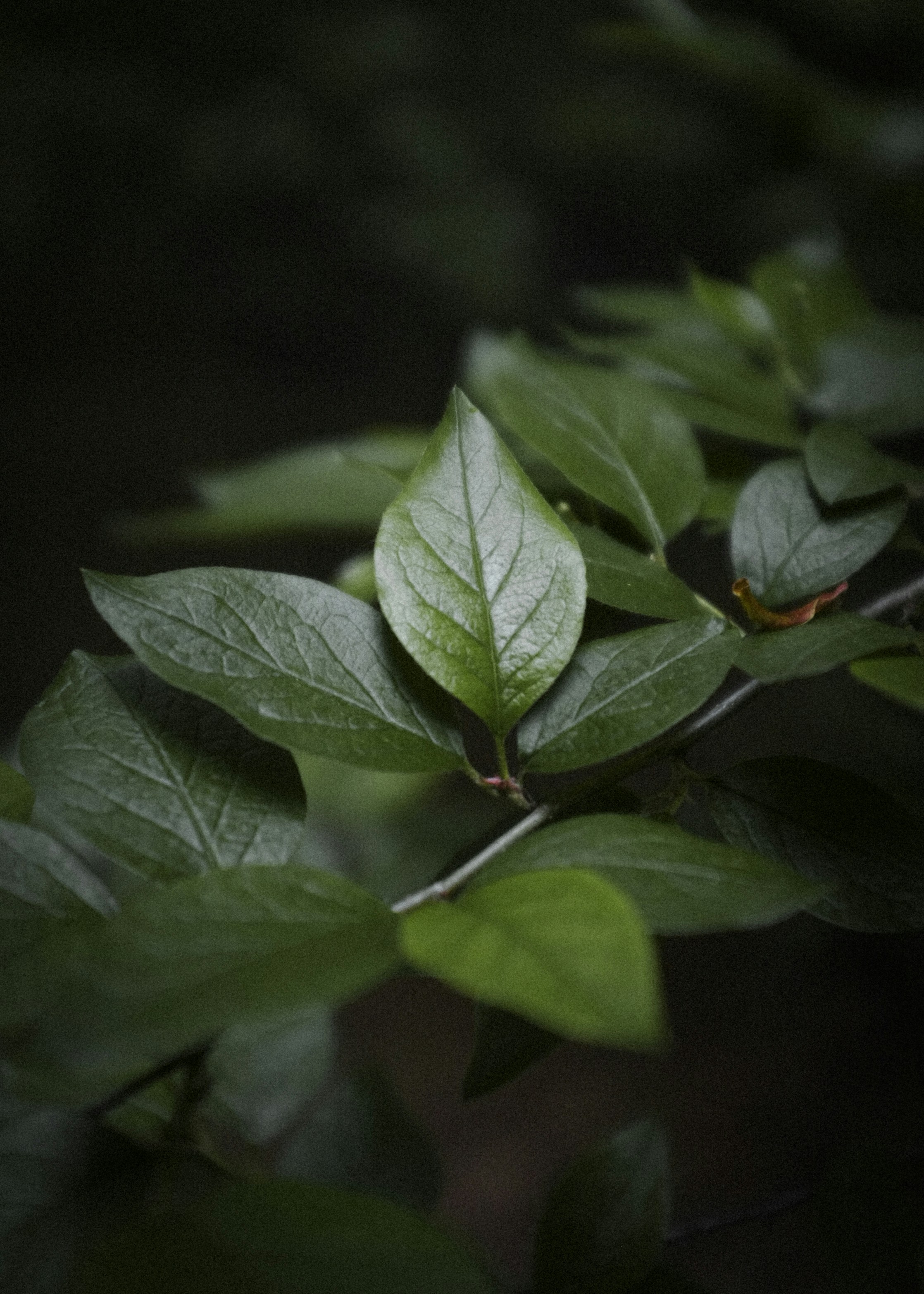 Photo by kirillpershin