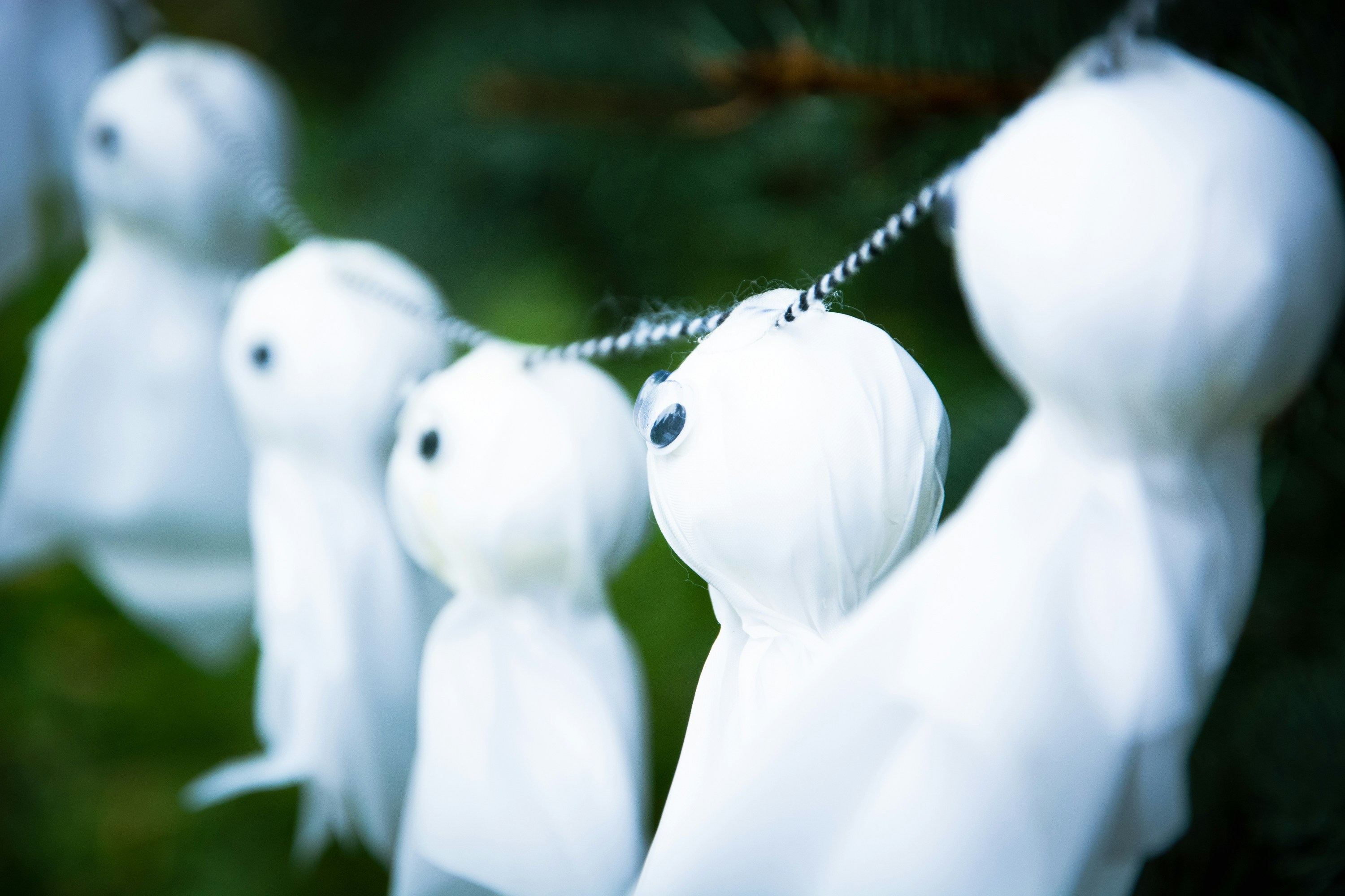 Photo by letslivealife