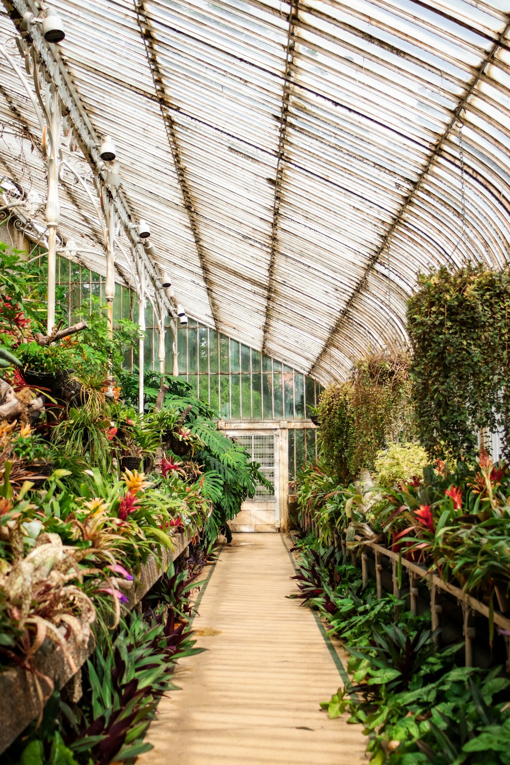the inside of a greenhouse filled with lots of plants