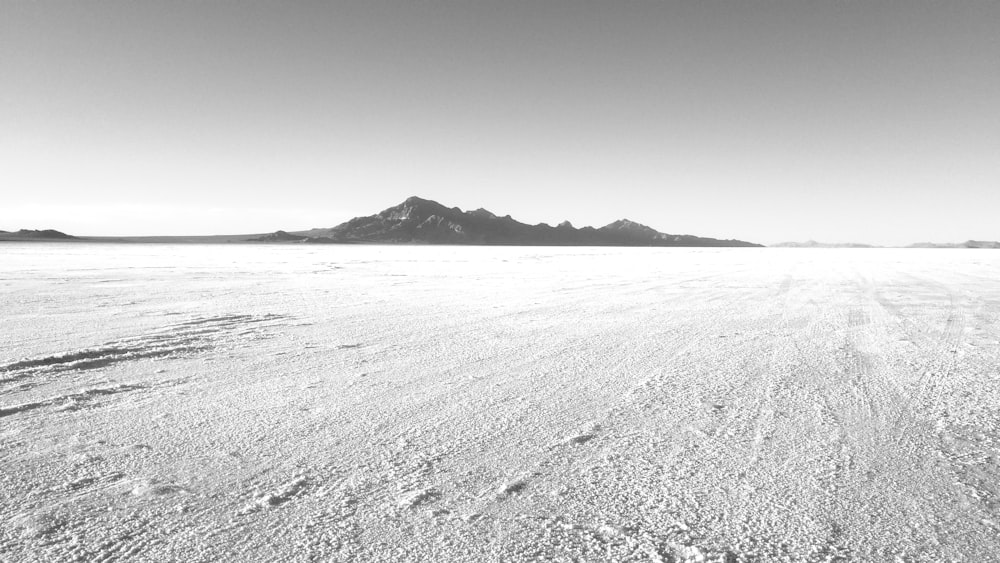 a black and white photo of a desert landscape