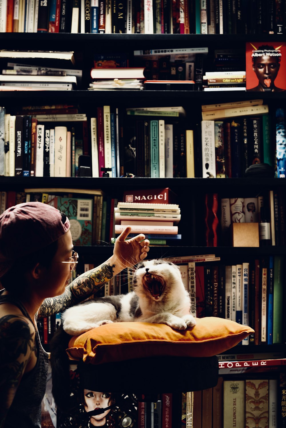 a woman petting a cat in front of a bookshelf